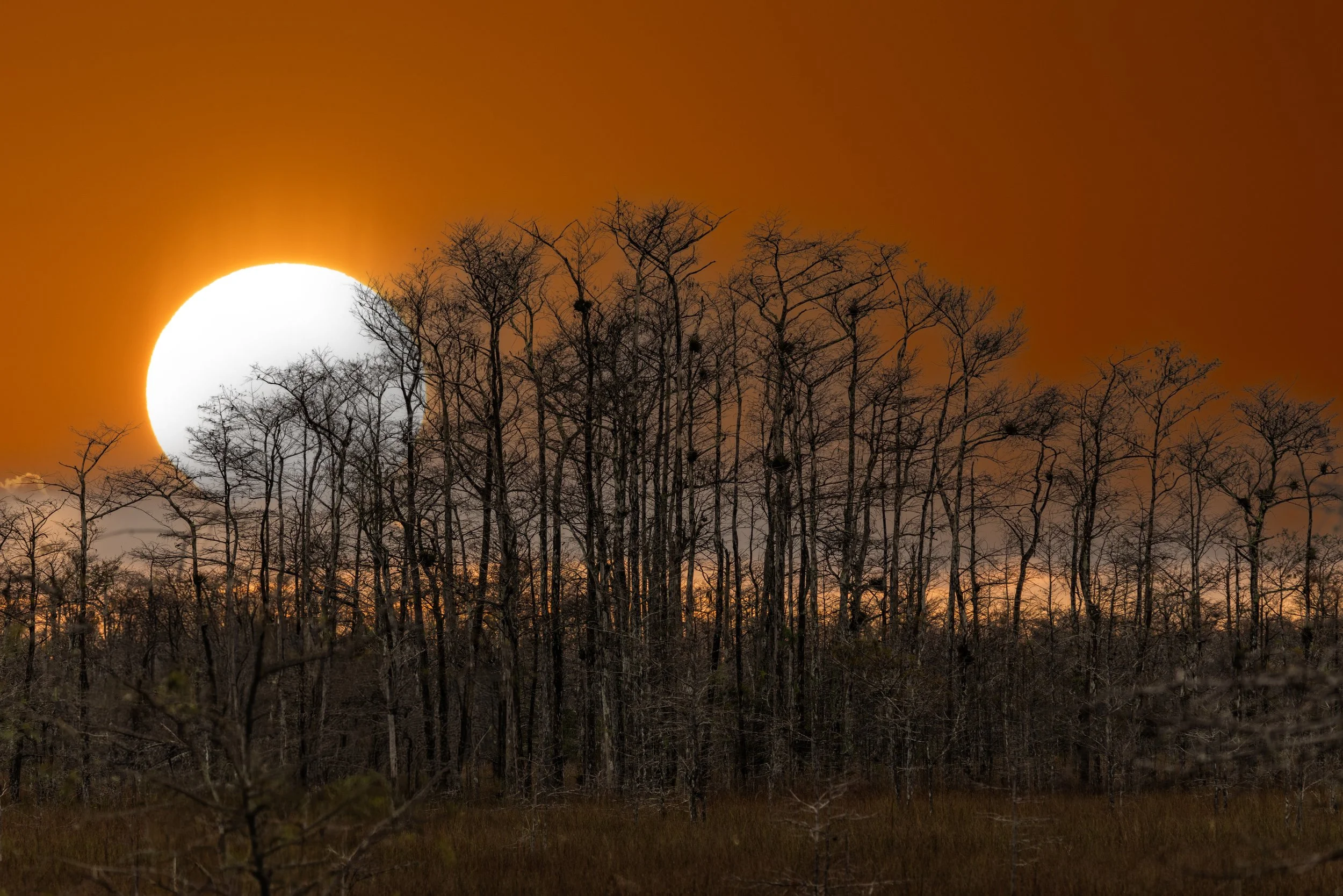 Cyprus Dome 8540 web 2.jpg