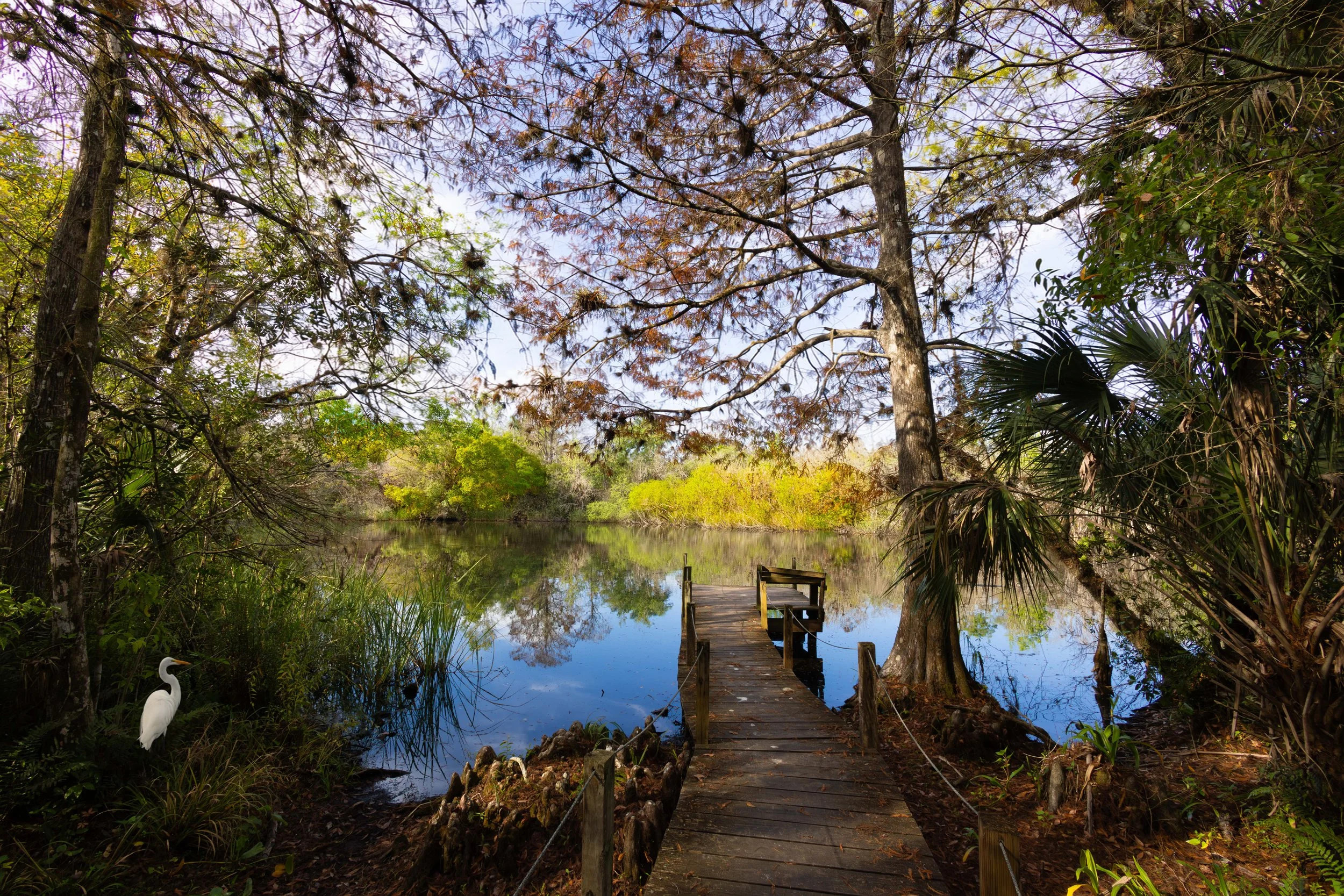 Faka Cabin view 1 with Bird wweb.jpg