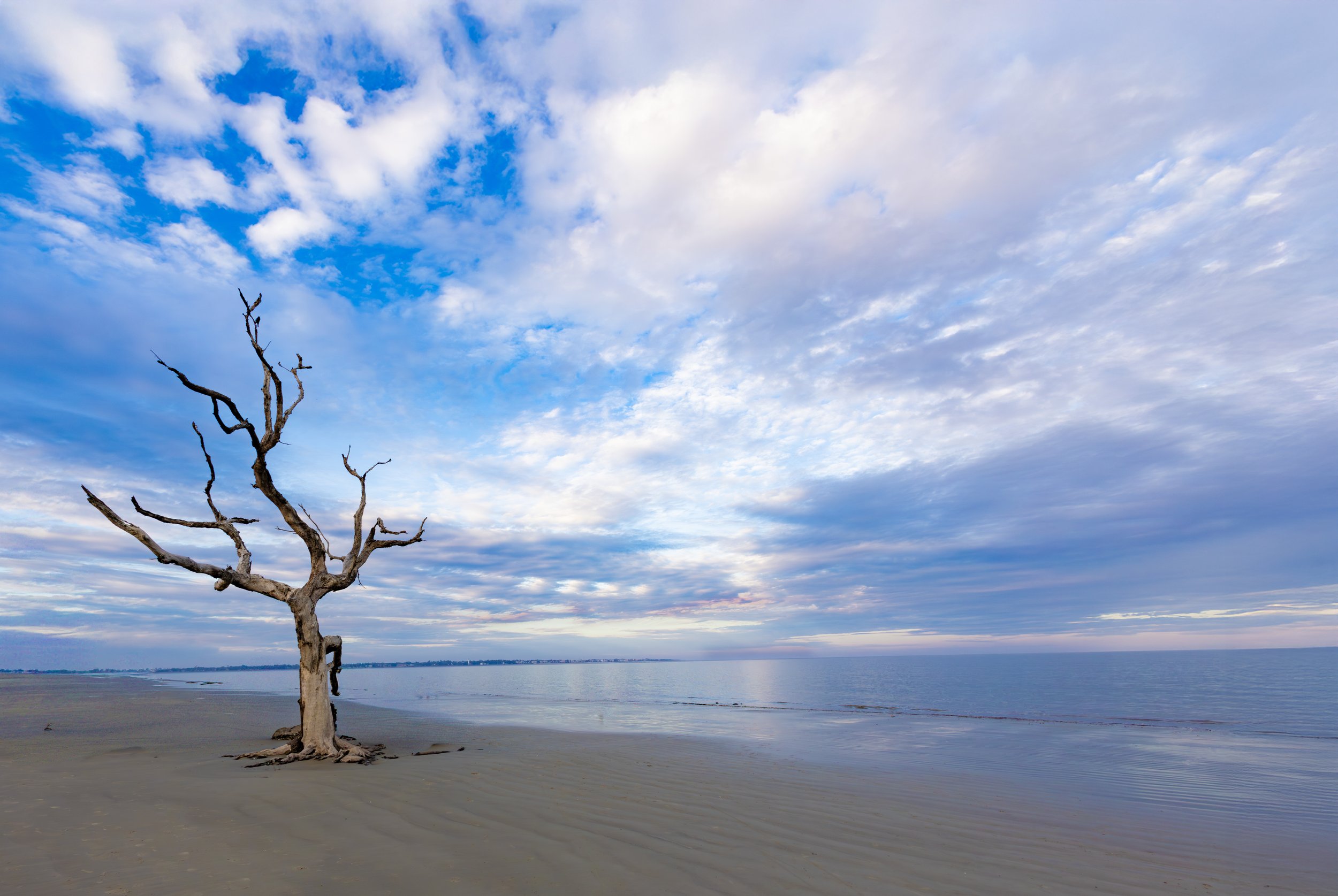 7I1A1757-1 Upright Drift.jpg