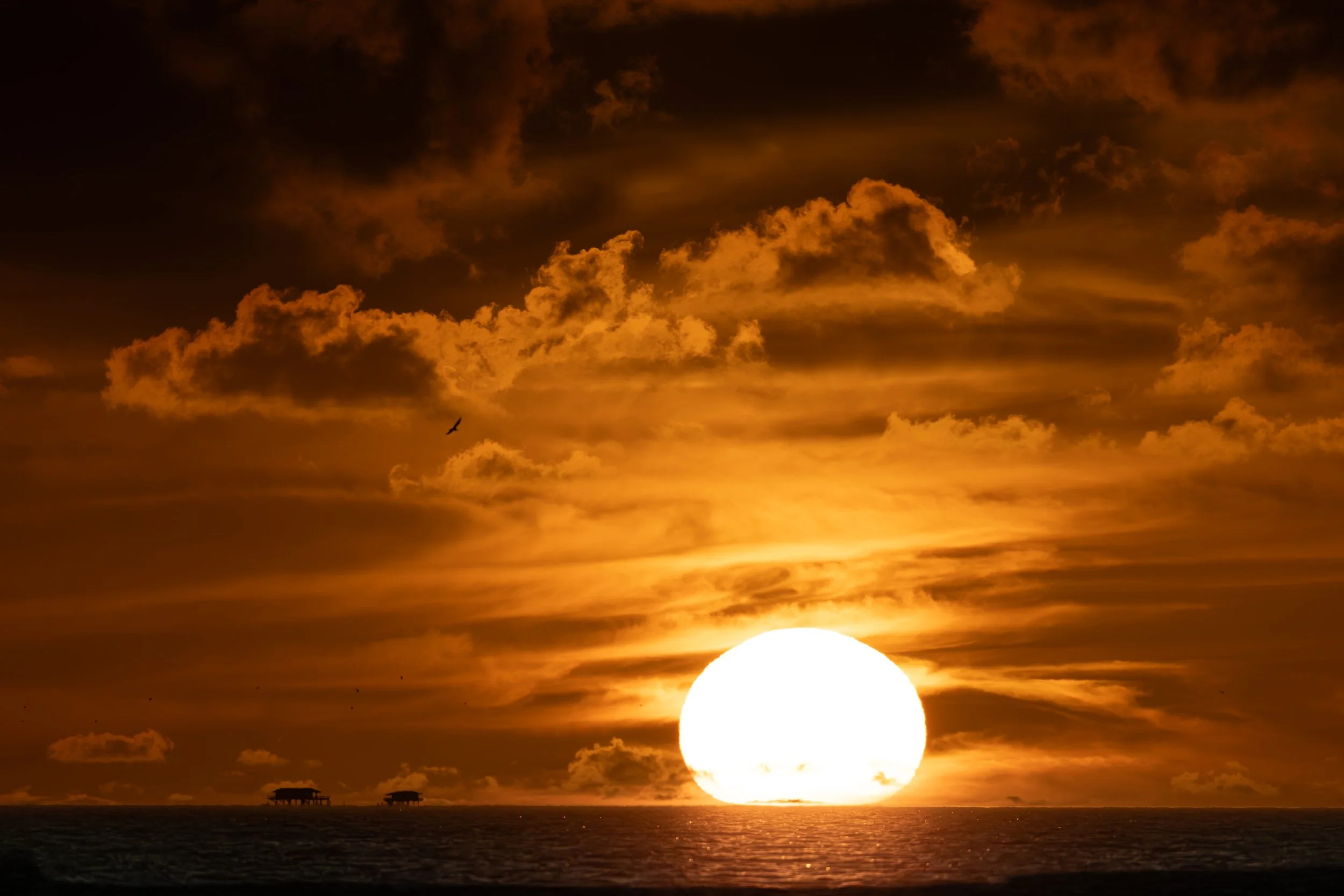 sun MH PSR 2 jpg.jpg