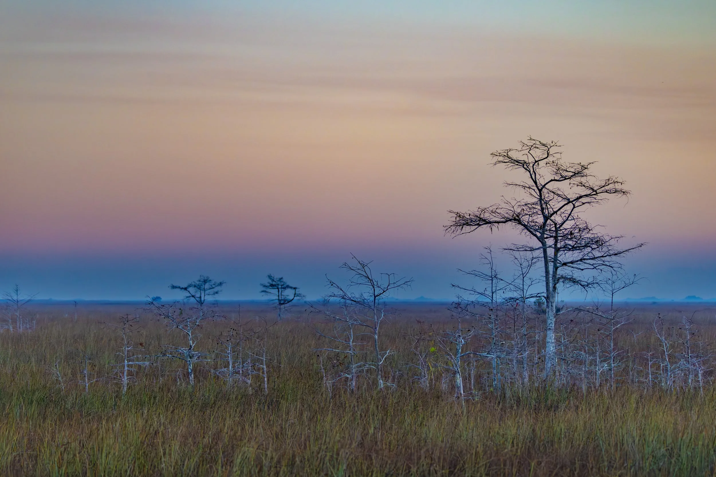 Payhay 2 PS TP7I1A3409 2 web.jpg