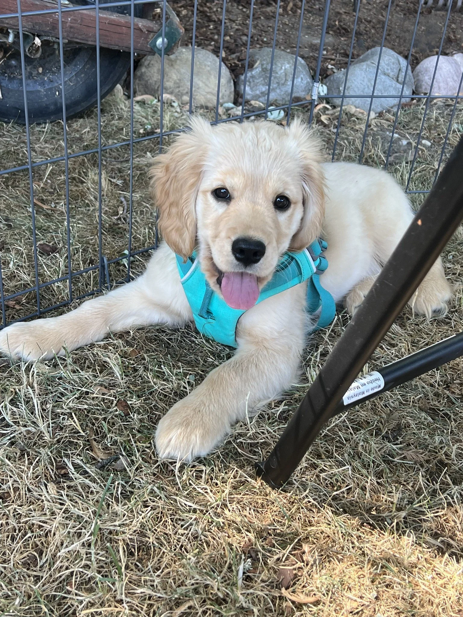 472685163_122099979722715267_8411747282947578083_n (1).jpg