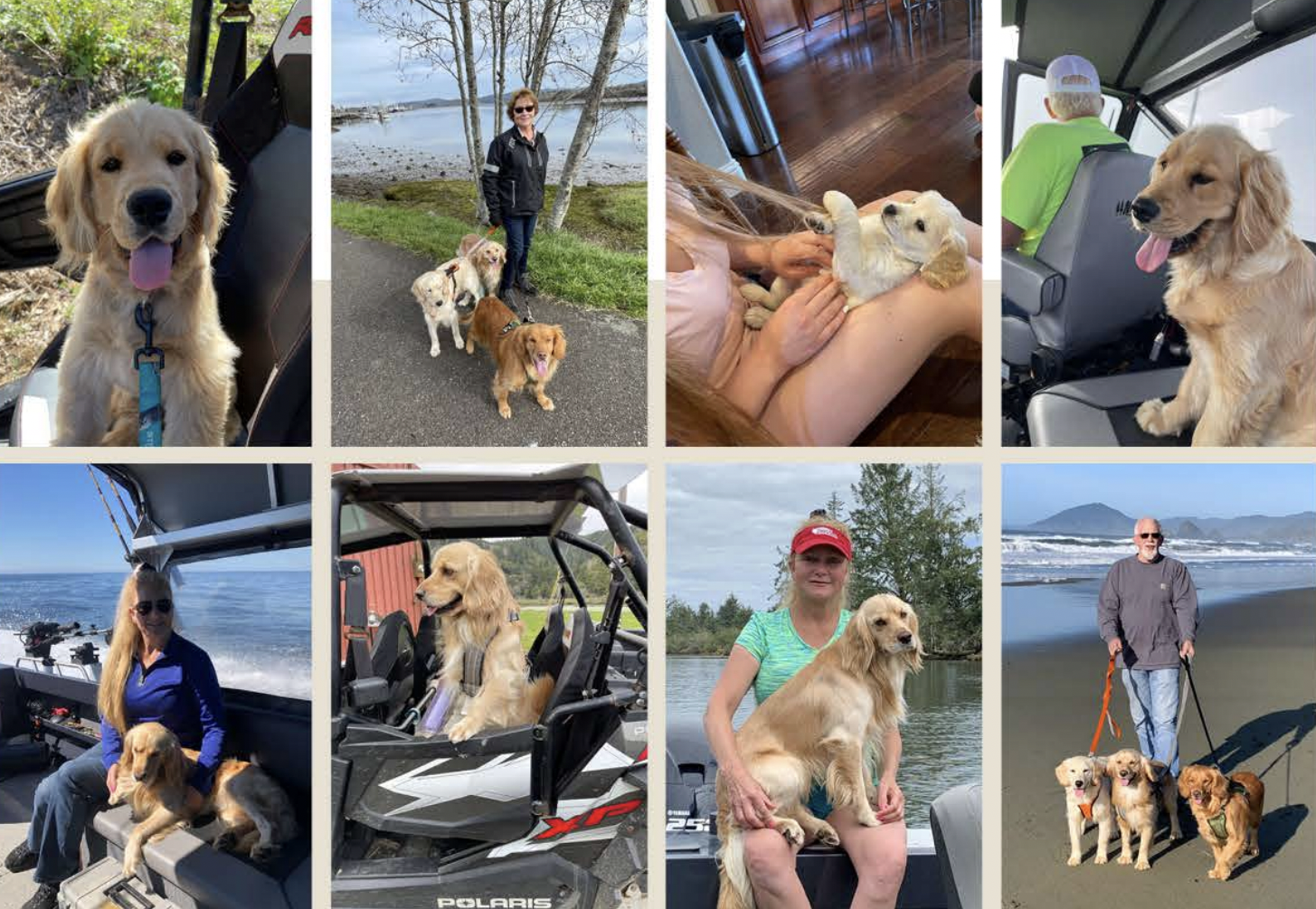 Collage of photos featuring a golden retriever dog and two people. The dog is in various settings: sitting inside an ATV, on a wooden floor playing with a person, sitting on a boat with a woman, in a Polaris ATV with a woman, on a green boat with a woman, and standing on a beach with a man. The people are seen walking in nature, sitting on boats, and walking on the beach with the dog.