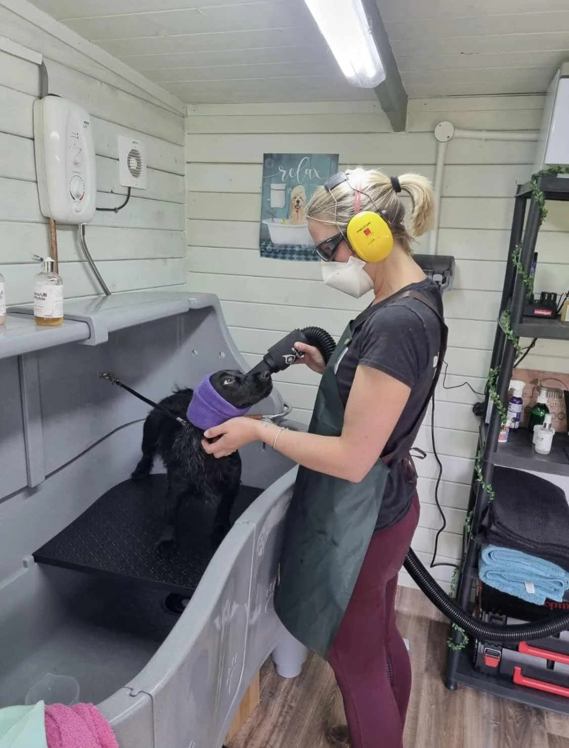 Bath and Brush - To freshen up and clean