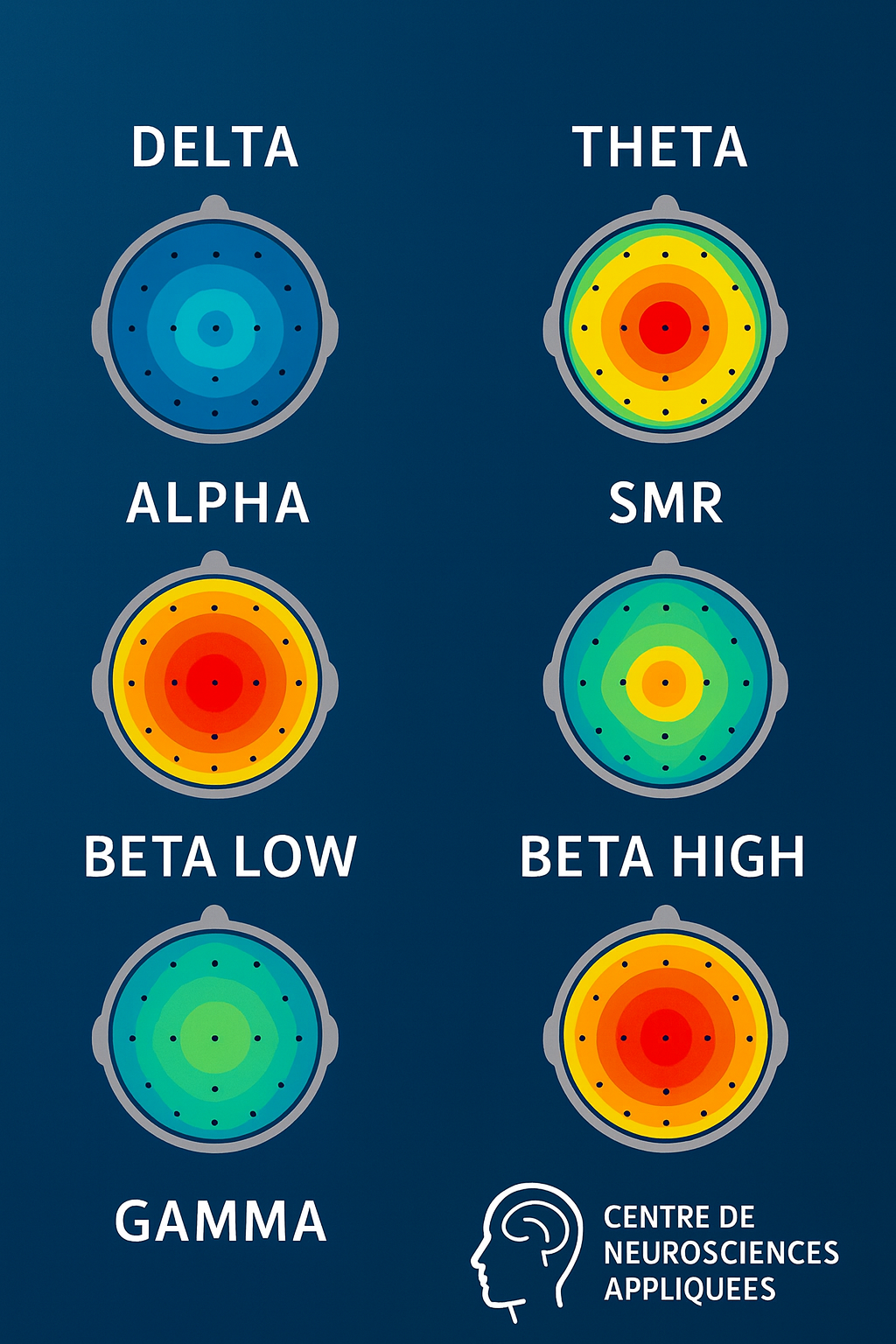 Diagramme illustrant les différentes fréquences cérébrales : Delta, Theta, Alpha, SMR, Bêta basse et Bêta haute, Gamma, avec coloris indiquant l'activité électrique du cerveau.