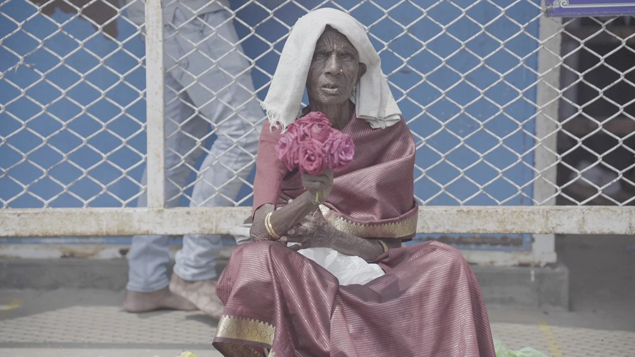 An elderly woman wearing traditional clothing sitting on a bench holding a bouquet of pink roses, behind a chain-link fence.