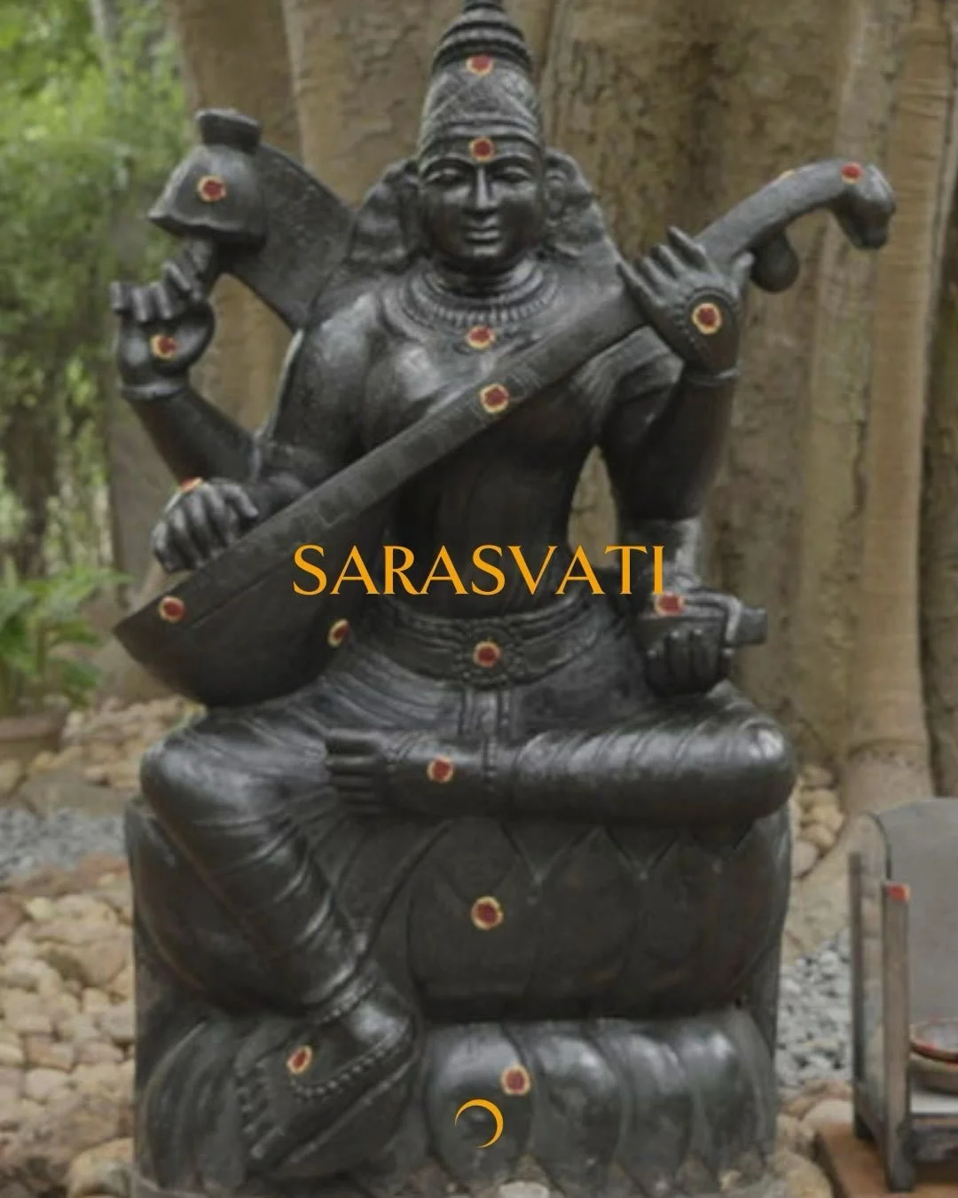 Sarasvatī Puja 🌼🌸🌼

Offering flowers, music and devotion to the Goddess 🤍

#navaratri #shakti #bhakti