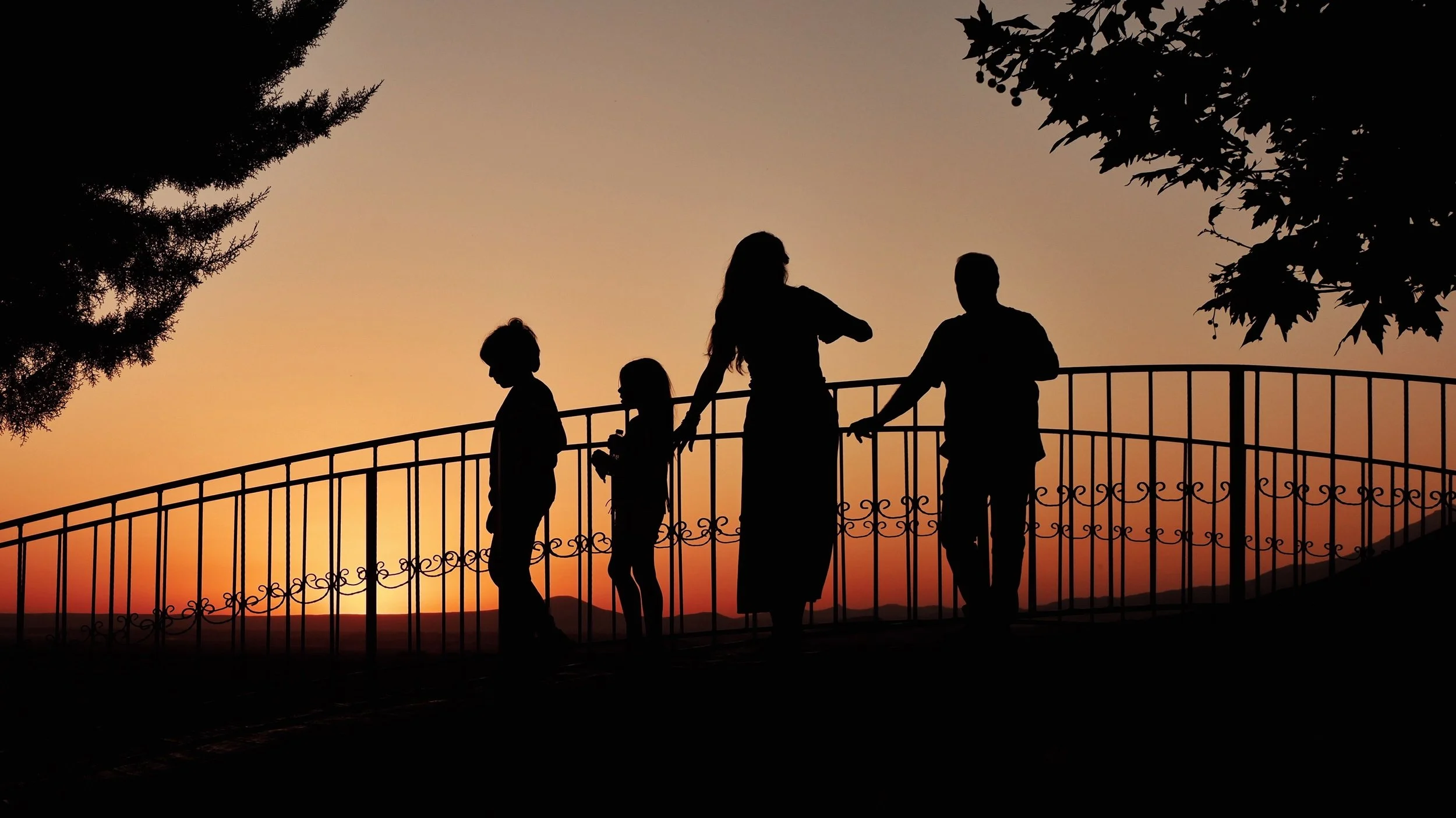Adult children in family systems: Jung, individuation and the search for wholeness