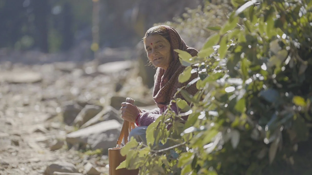 An elderly woman sitting outdoors beside a bush and holding a bag, with a rocky ground and blurred background.