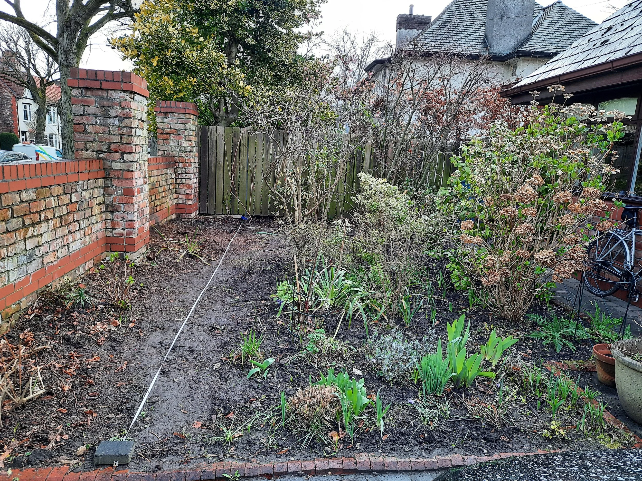 Front garden assessment