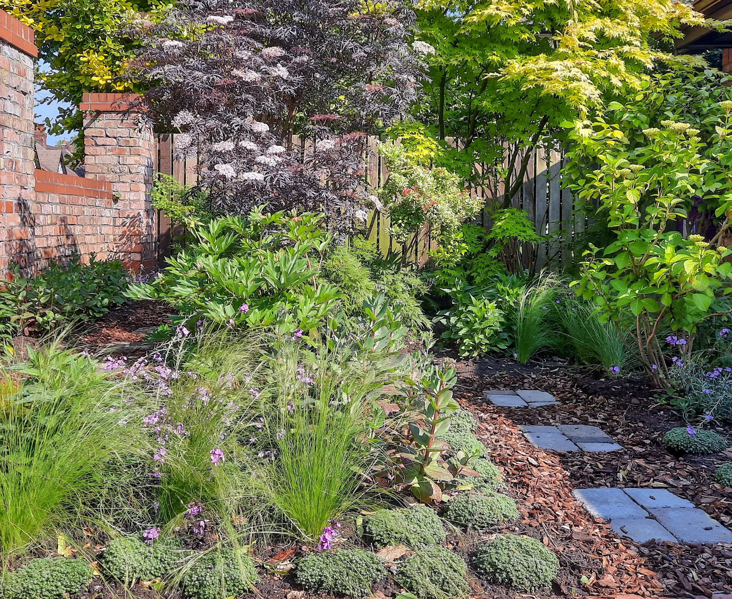 Front Garden Planting with Stepping Stones