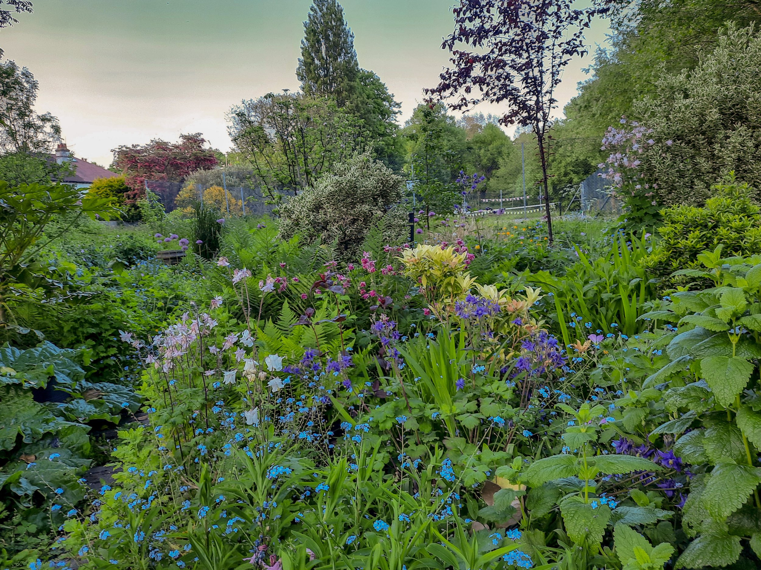 Naturalistic Planting