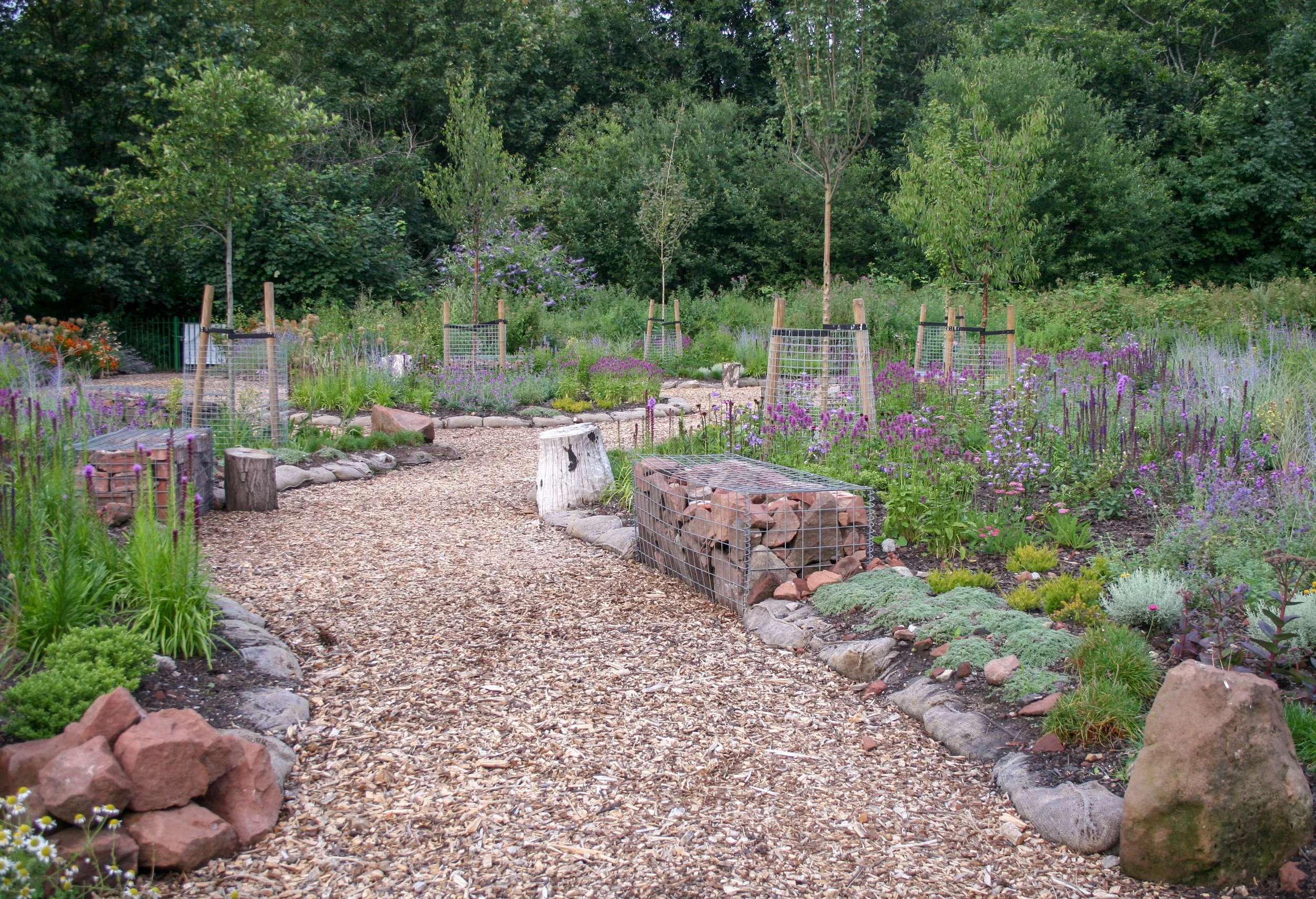 A garden pathway lined with rocks and wood mulch, bordered by vibrant flowers and green shrubs, with young trees supported by stakes, lush greenery and trees in the background.