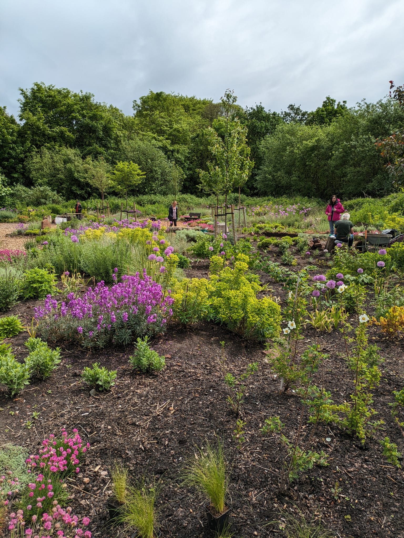 People in a garden with colorful flowers and trees, under an overcast sky.