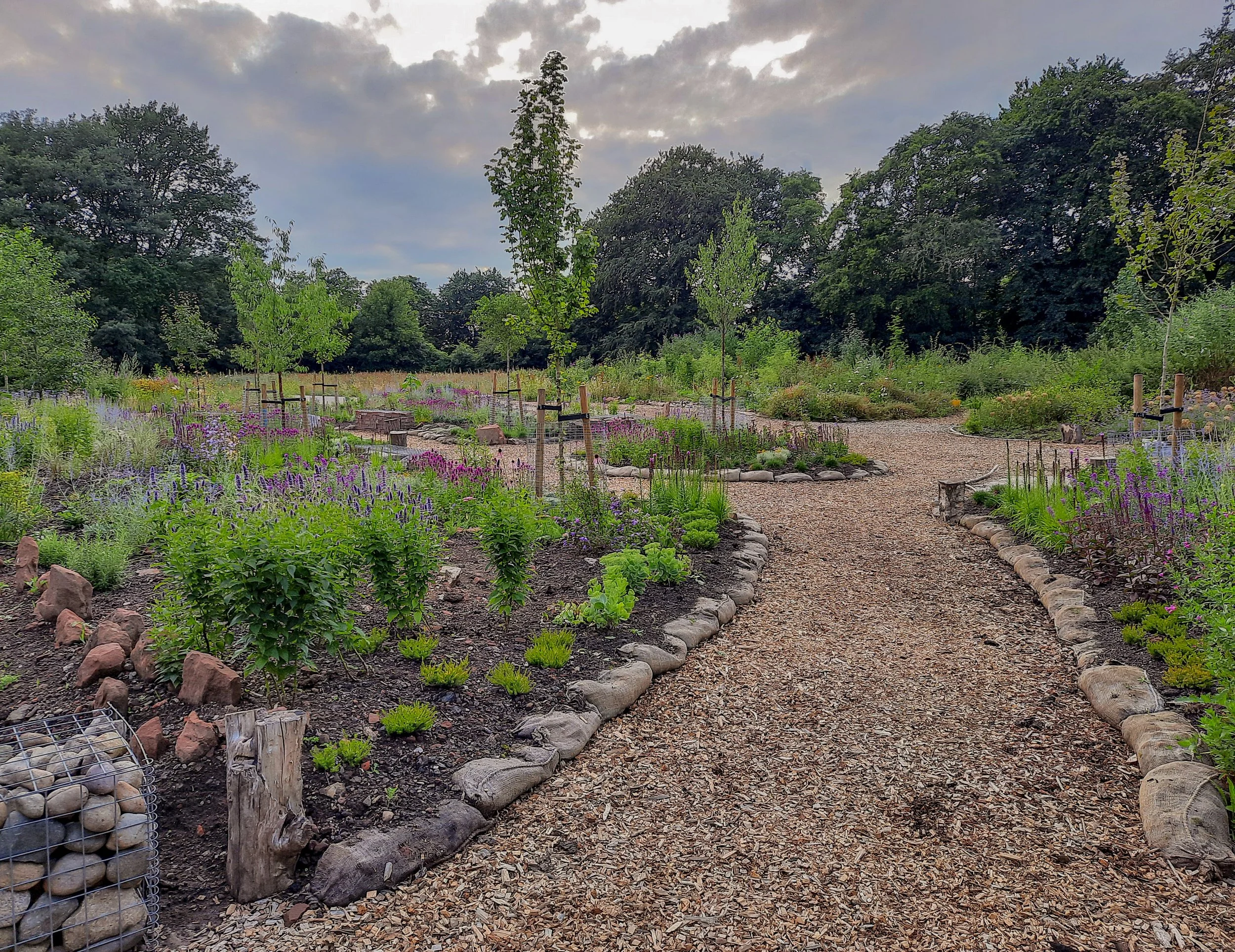 Path through nature reserve