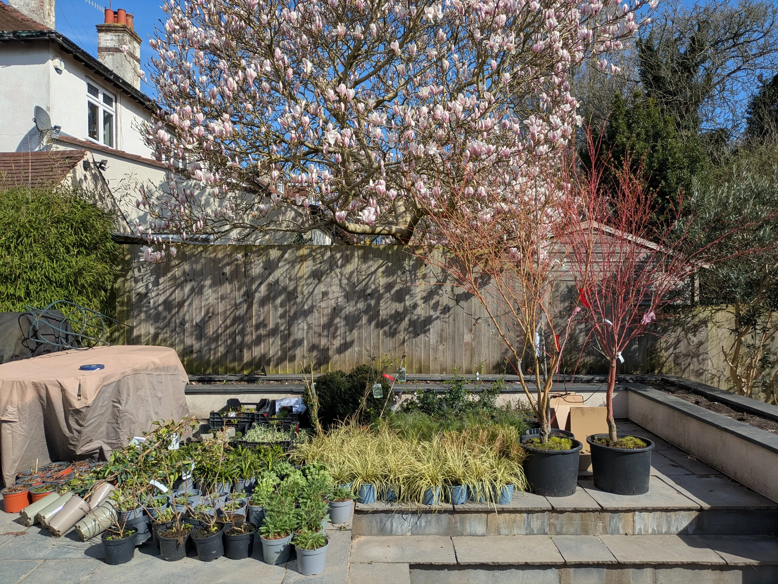 Planting in progress