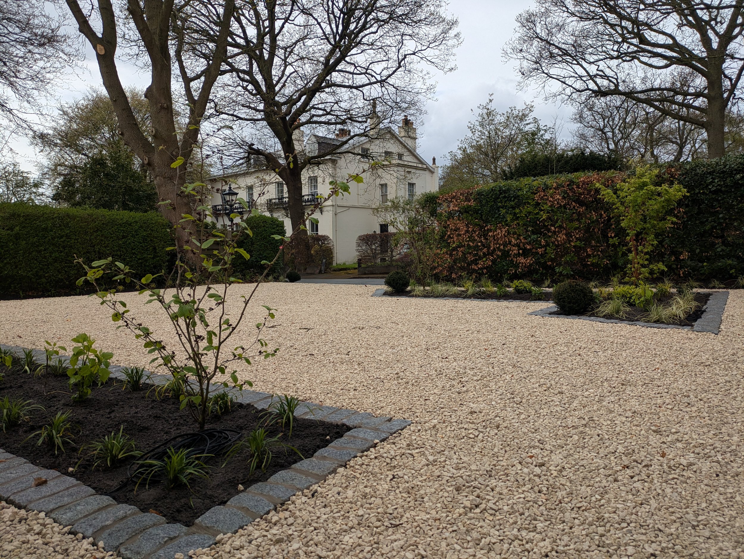 Front Garden Planting
