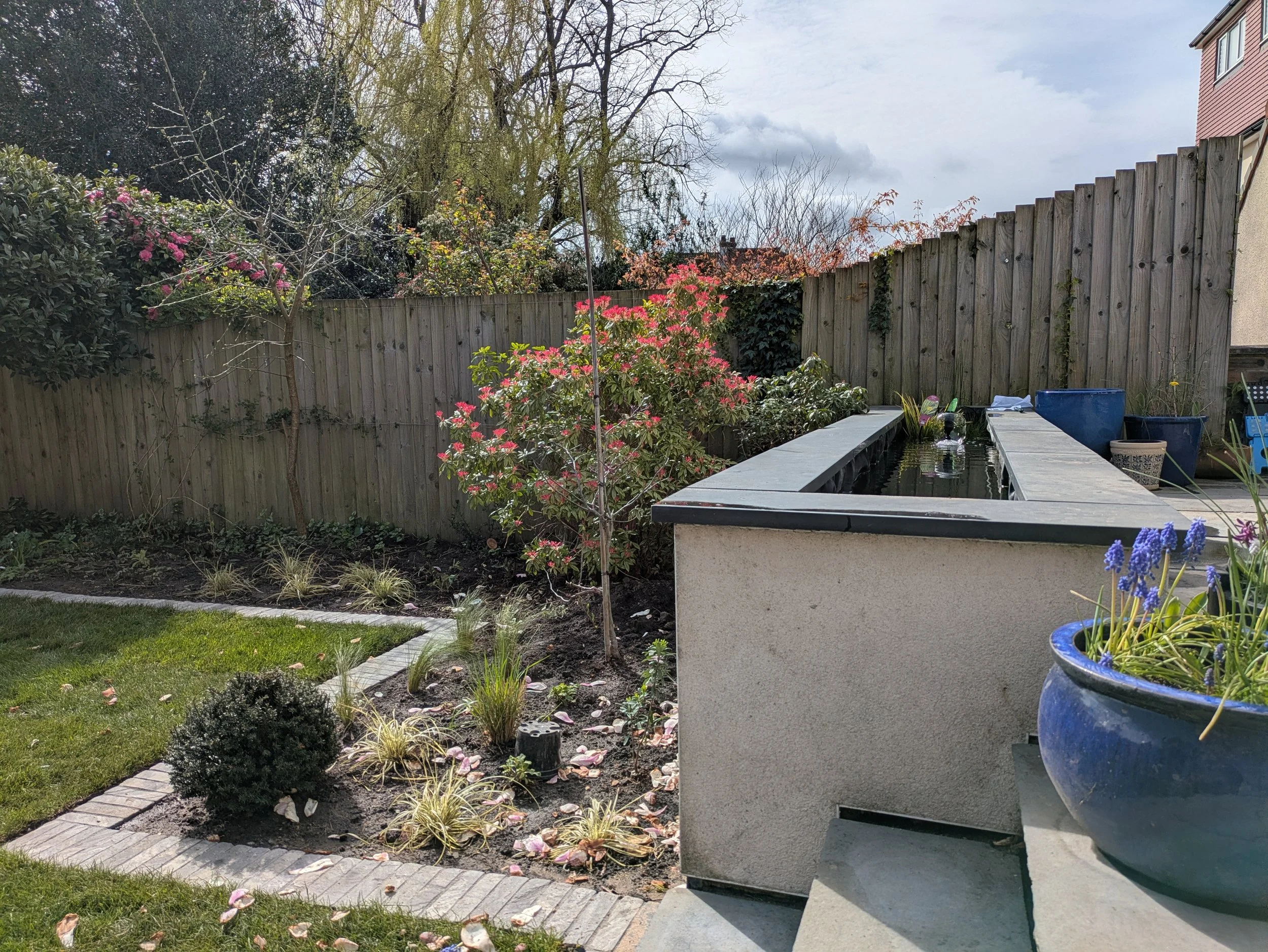 Pond in former raised bed