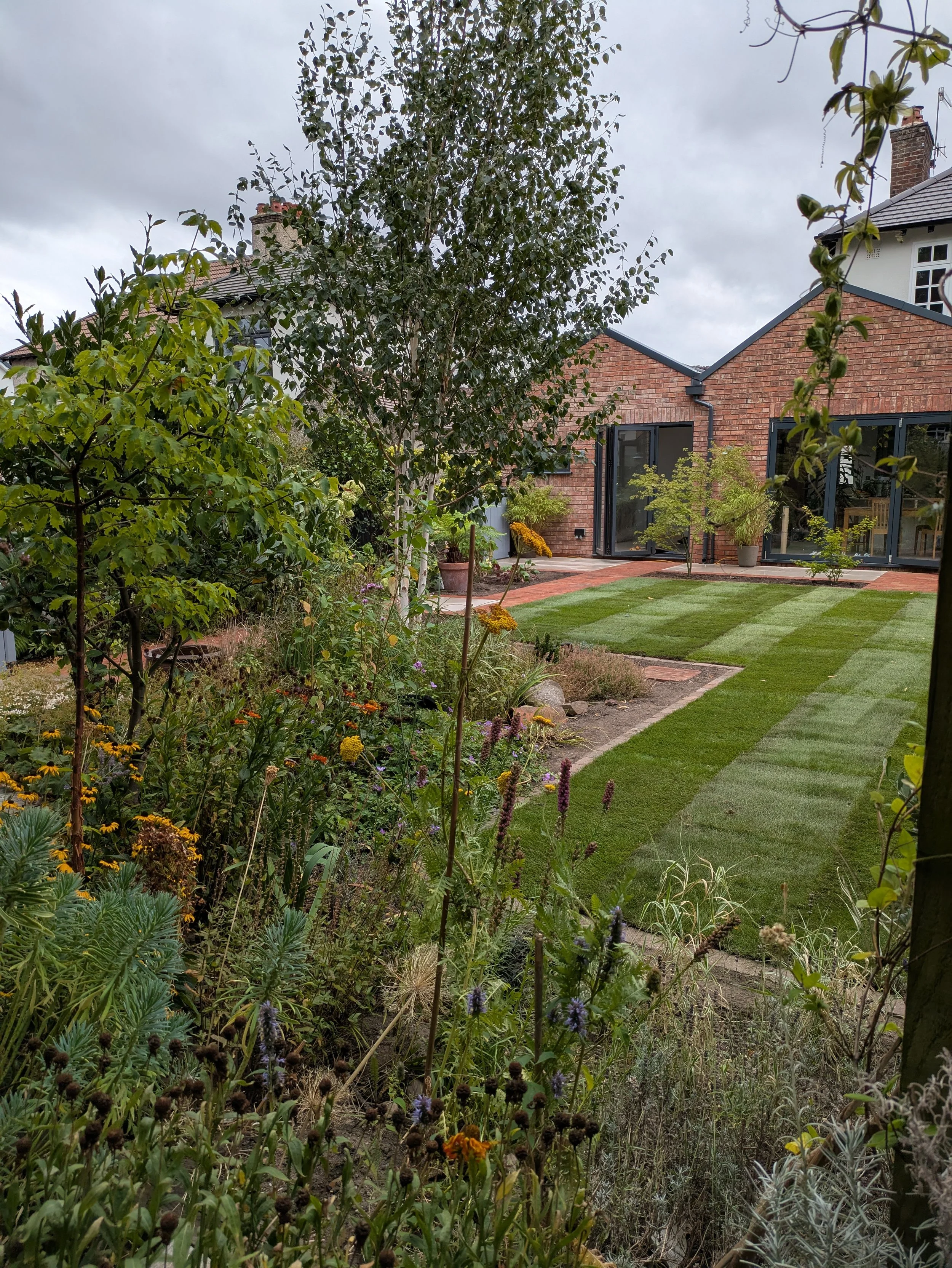 Suburban garden with a lush green lawn, mixed planting and trees