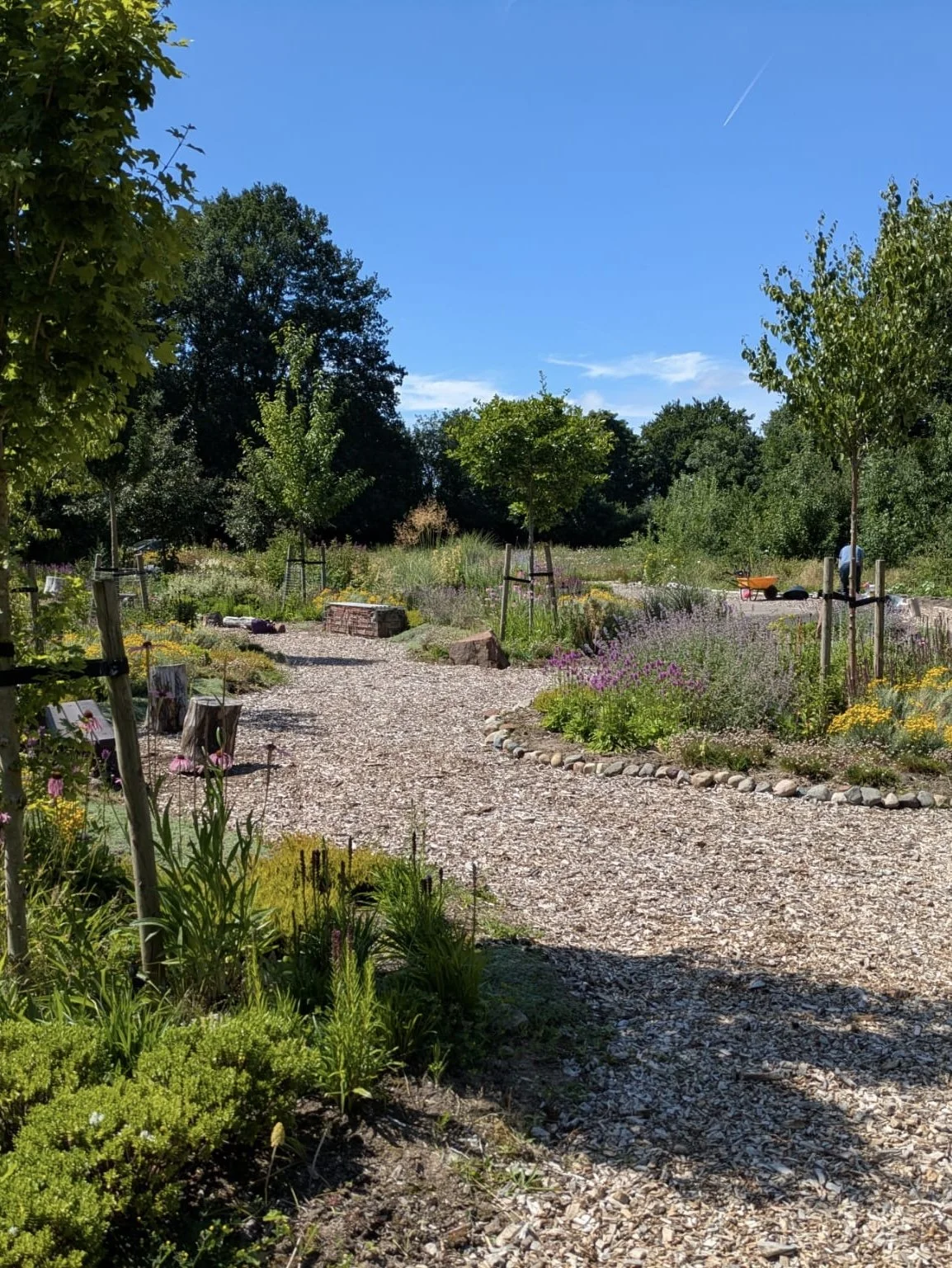 A well-maintained garden with a gravel pathway, various flowering plants, small trees with supports, and taller trees in the background under a bright blue sky with a contrail.