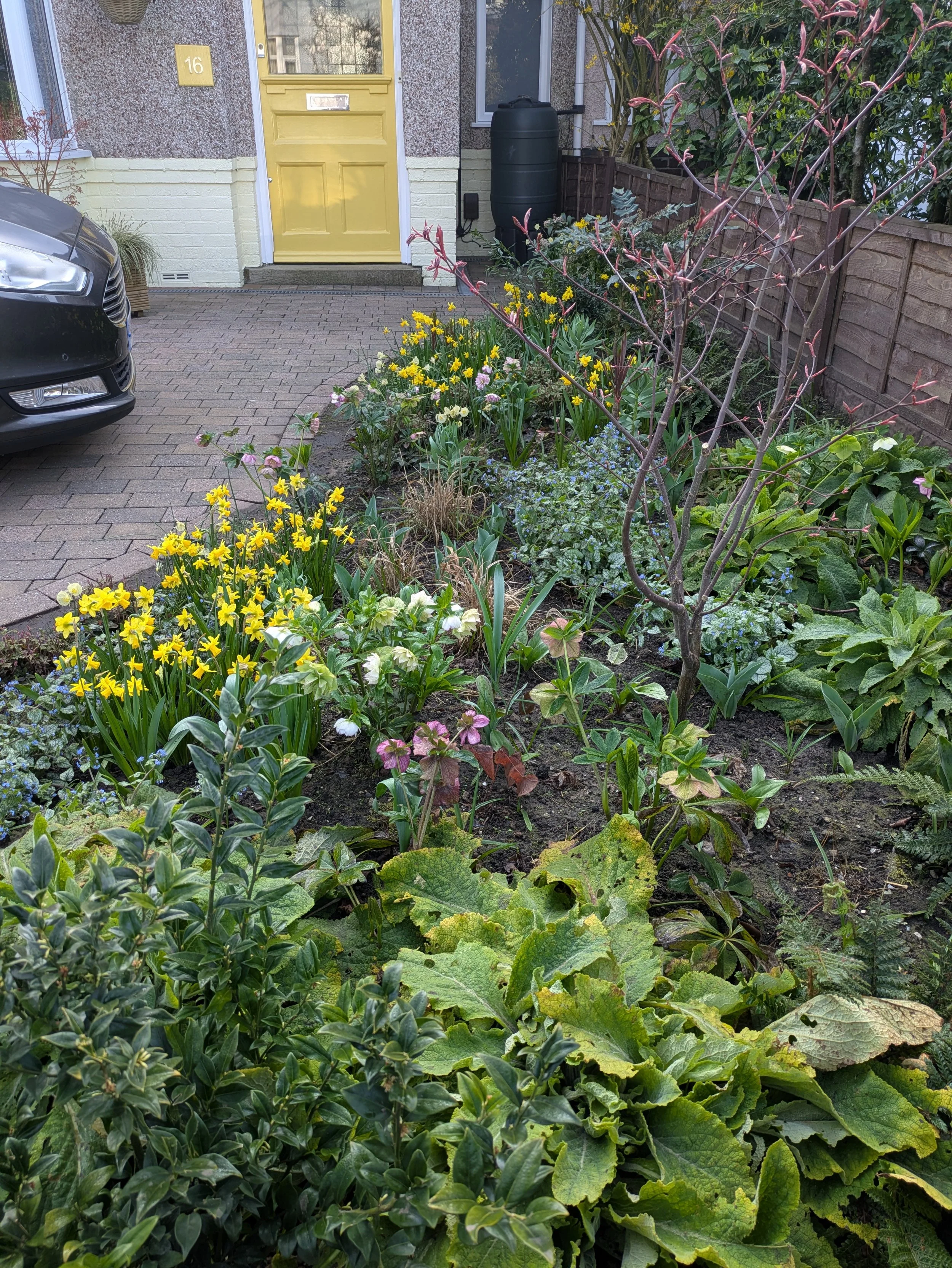 Front Garden