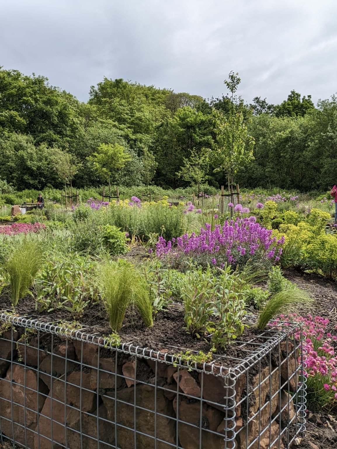 A garden with various blooming flowers and plants, surrounded by lush green trees and a cloudy sky.
