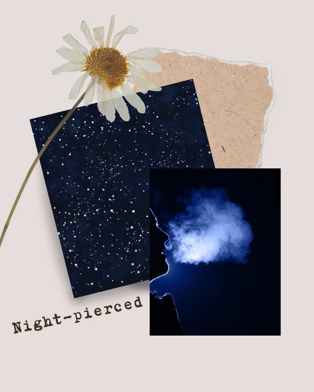 Hey there Honeybun 👋 The night sky pierced me with it's beauty to the point where my chest felt full of nothing but wonderment. 🌌 I was simply doing evening chores when I looked up and lost myself in the sky. I hoped in that moment that I'd never l