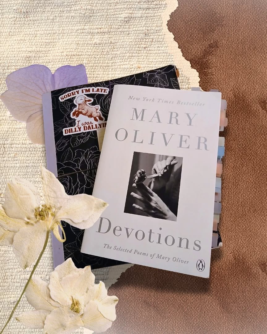 🏳️&zwj;Taking an unexpected pause today on a project that will be announced in the near future, Universe willing. 🕊 In the meantime I'm spending some restful mid week time.
👜 I thought I'd share a little bit of what the poet (yours truly) is carry