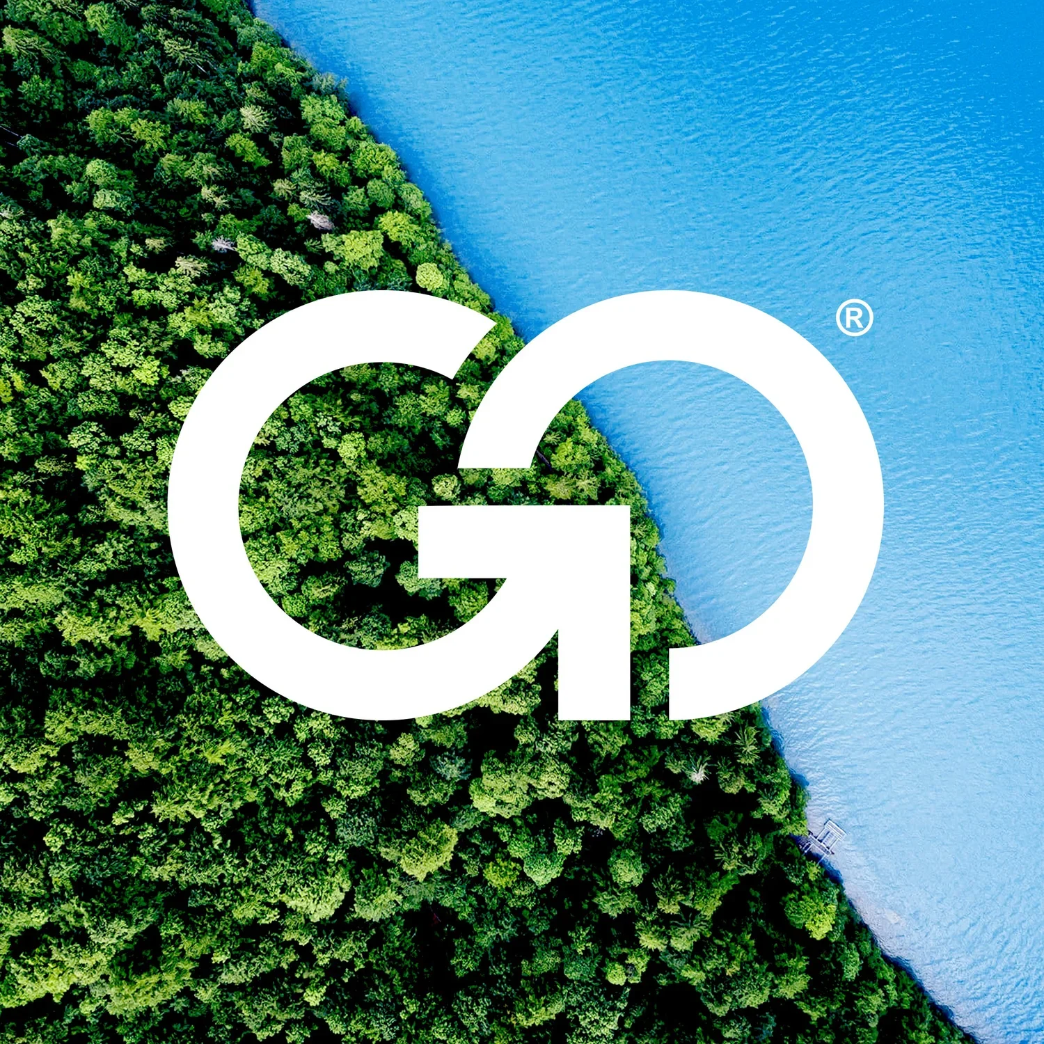 go_5.jpg.webp