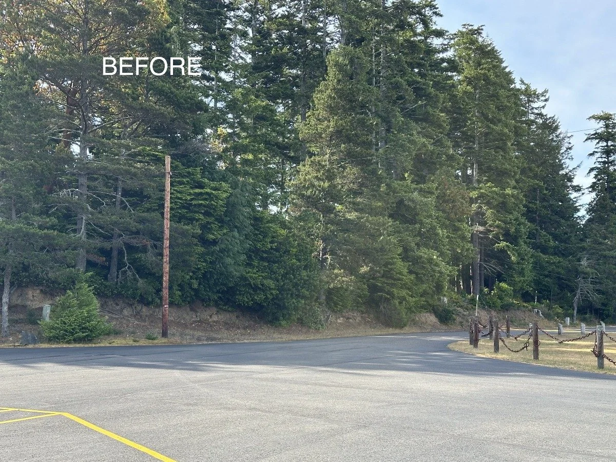 Empty parking lot with a forested hillside, trees, and a utility pole in the background. The word 'BEFORE' is overlaid on the top left of the image.