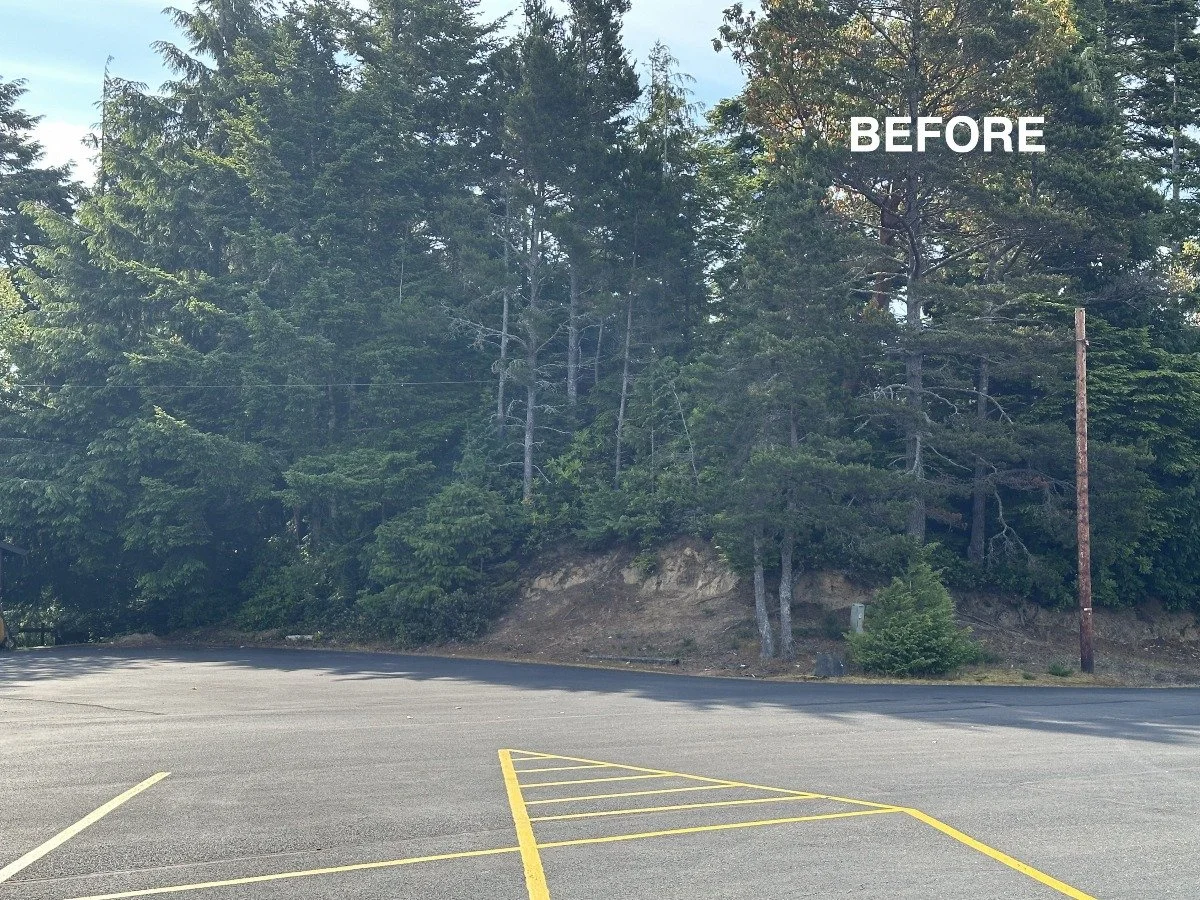 Empty parking lot with trees and a dirt hill in the background marked with the word 'BEFORE.'