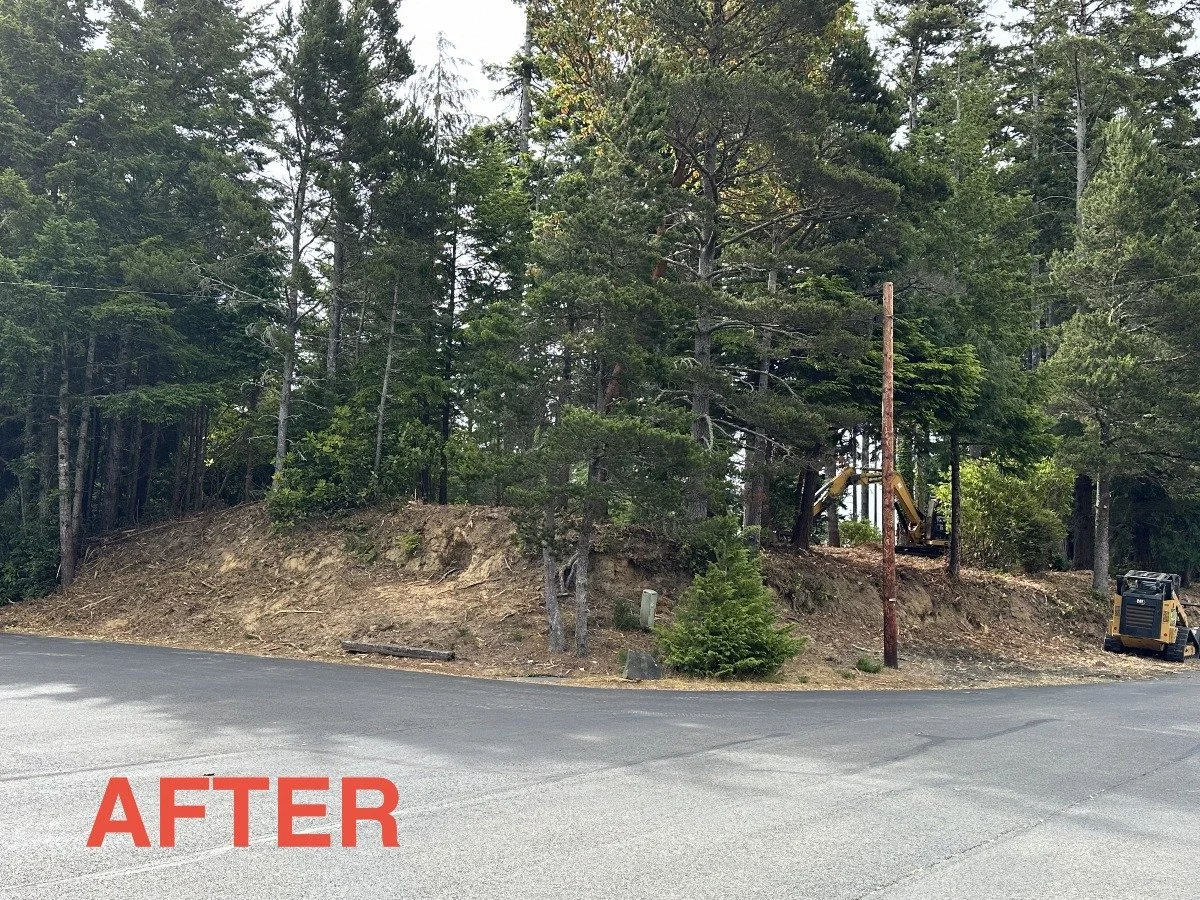 A cleared hillside with some remaining trees, construction equipment, and utility poles, indicating land development or landscaping work behind an asphalt road with a red 'AFTER' label in the bottom left corner.