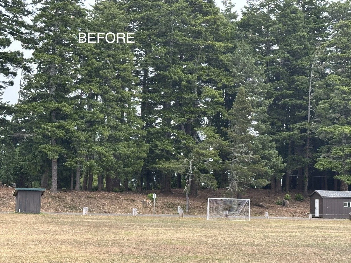 Empty soccer field with goalpost, small wooden shed, and tall pine trees in the background, with the word 'BEFORE' written on the upper left side.