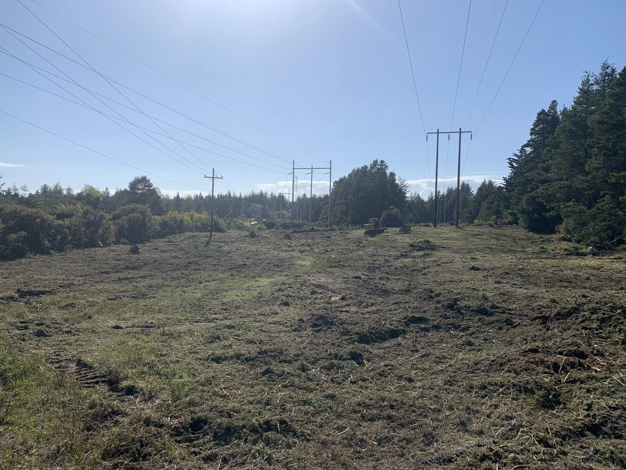 Open field with dirt and grass, power lines, and trees in the background under a clear blue sky.