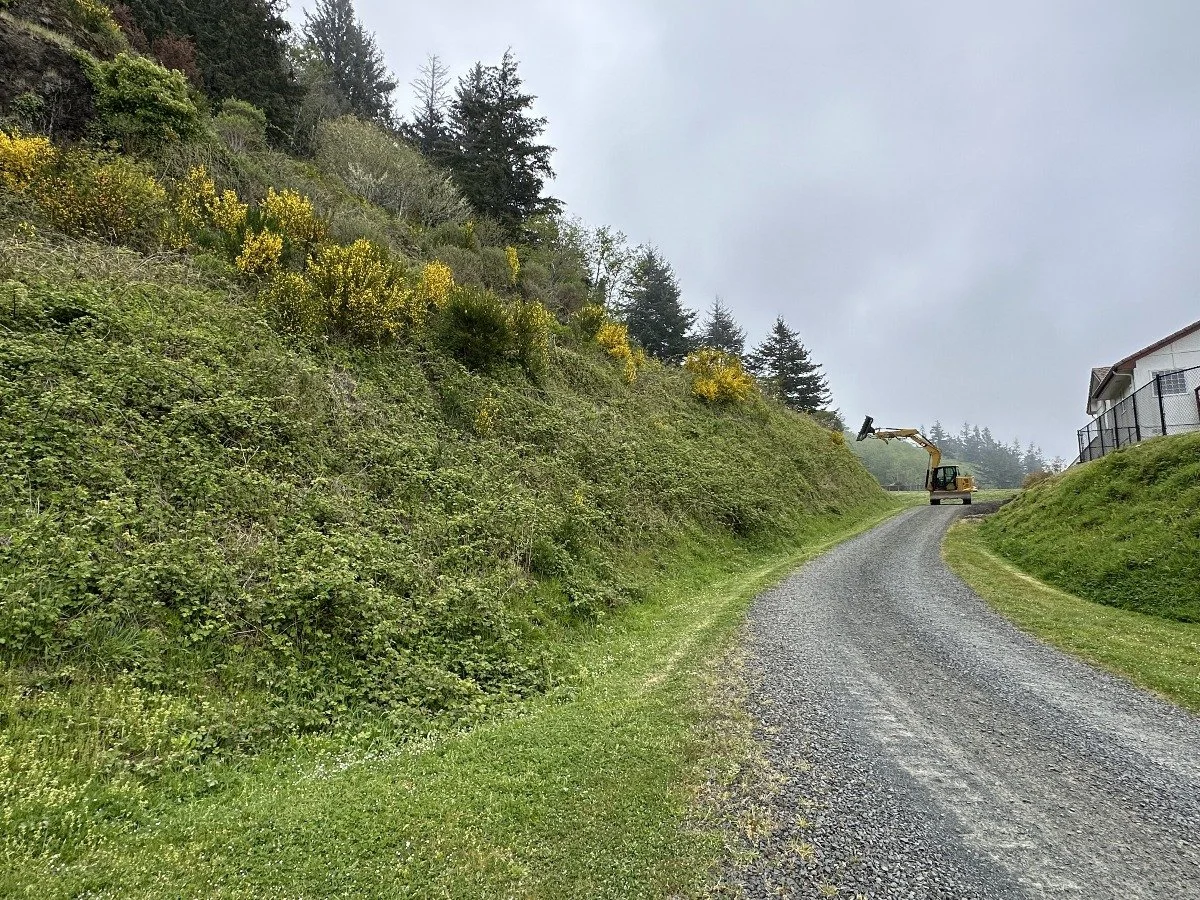 A gravel driveway winding uphill next to a green hillside with bushes and trees, with a small excavator working on the land. A house with a fenced yard is visible on the right side.