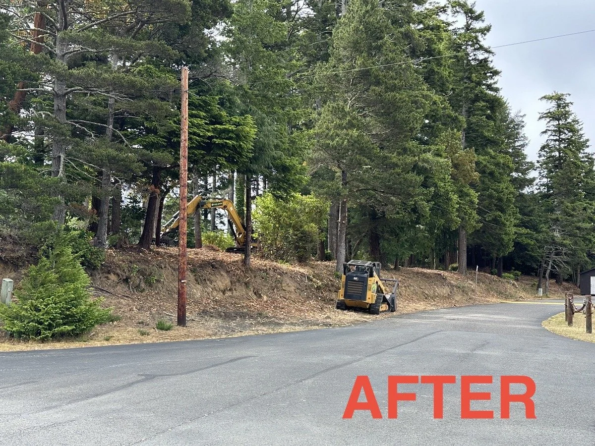 A cleared area on the side of a road with trees and a small excavator, indicating land clearing or landscaping work has been completed.