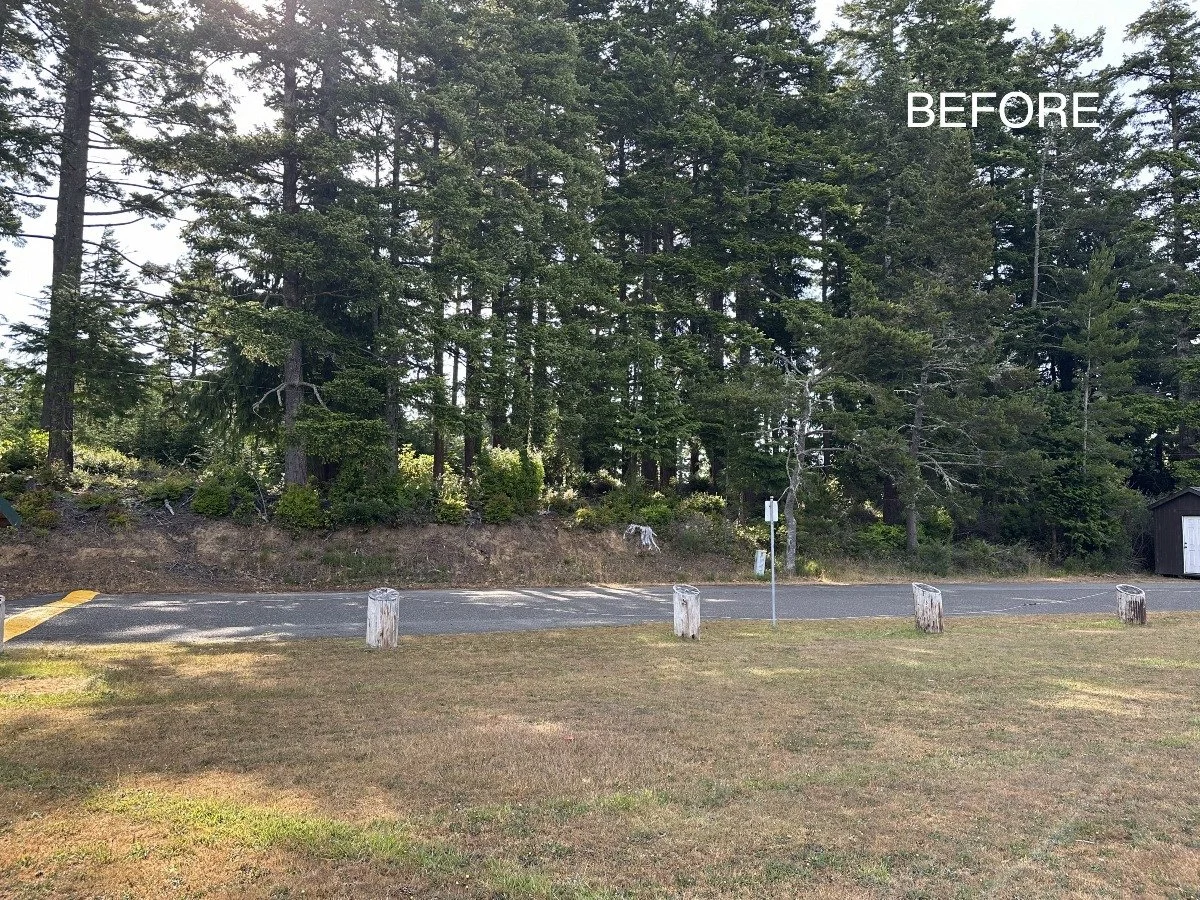 A grassy area in the foreground with a paved road beyond it. The road has several wooden posts along its edge. Behind the road is a wooded area with tall trees and some small bushes. The word 'BEFORE' is written in white in the upper right corner of 