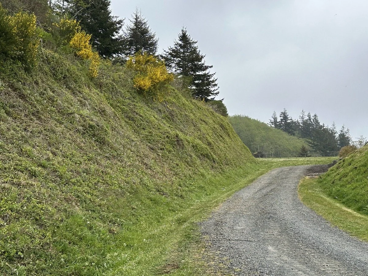Gravel country road next to grassy hillside with trees in the background and overcast sky.
