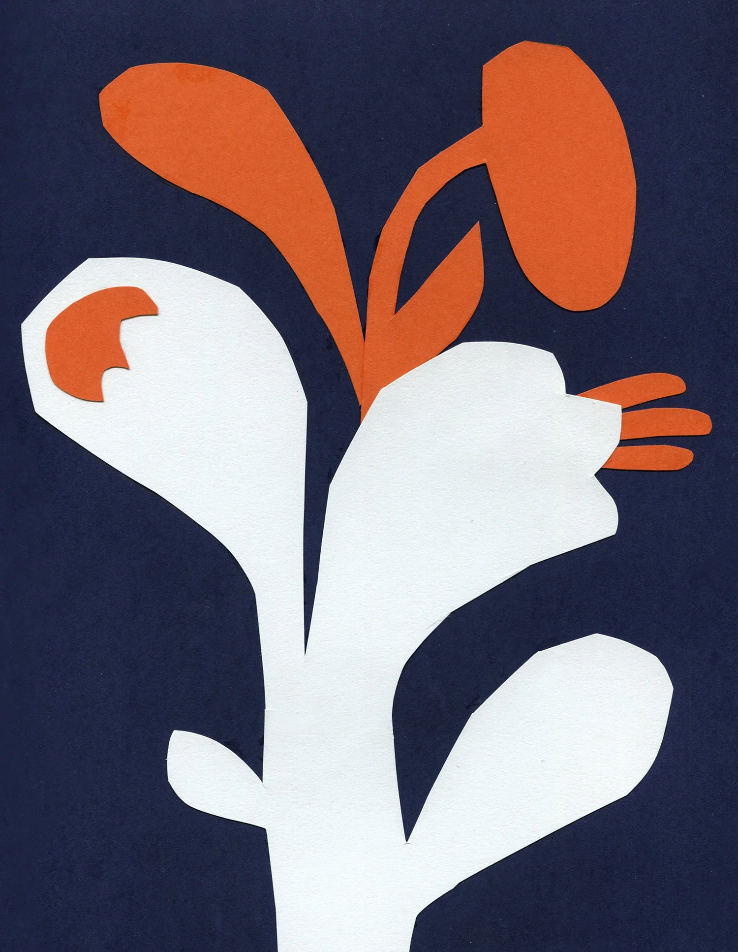 FLORA+3.webp
