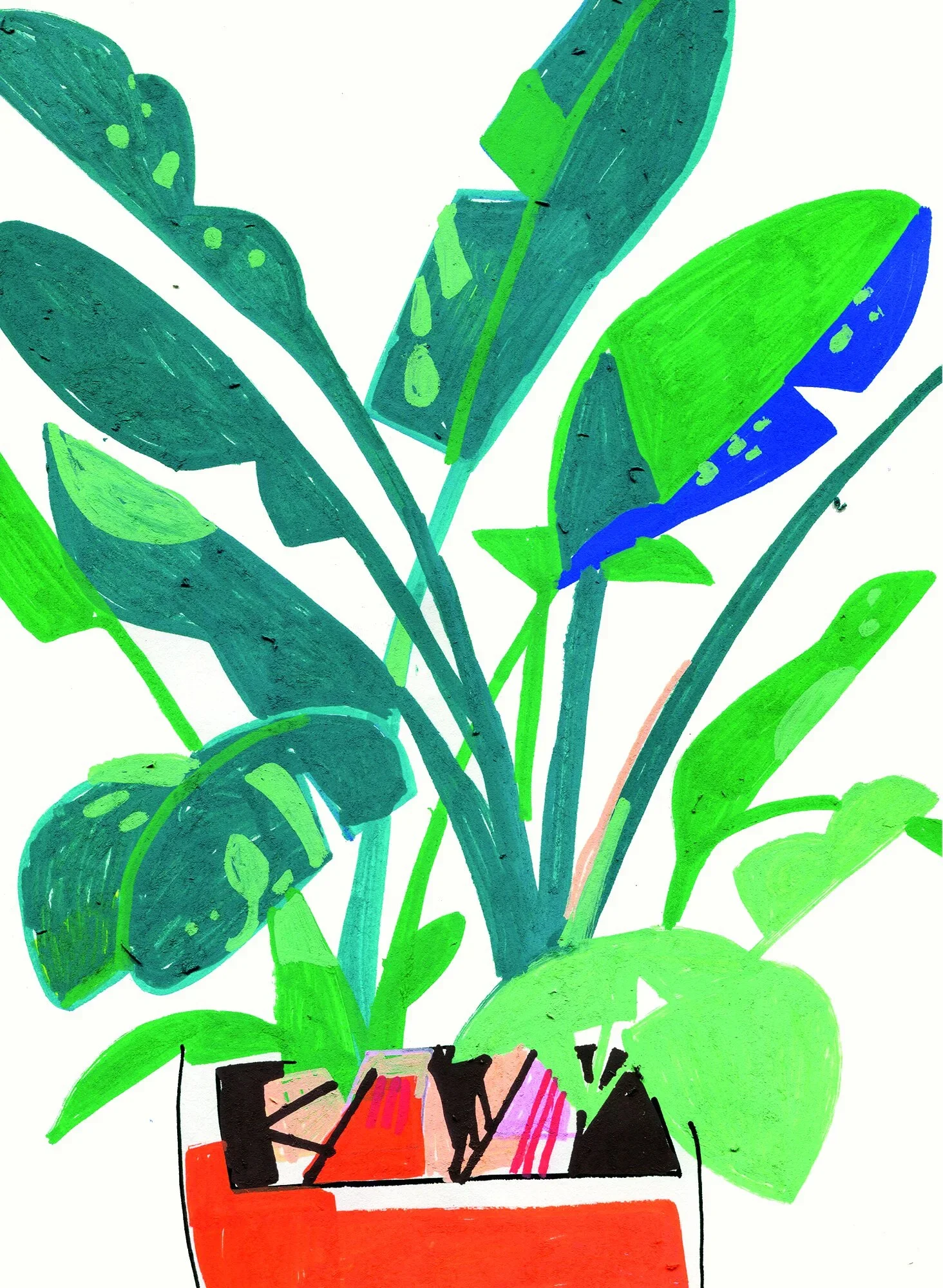 PLANT.webp