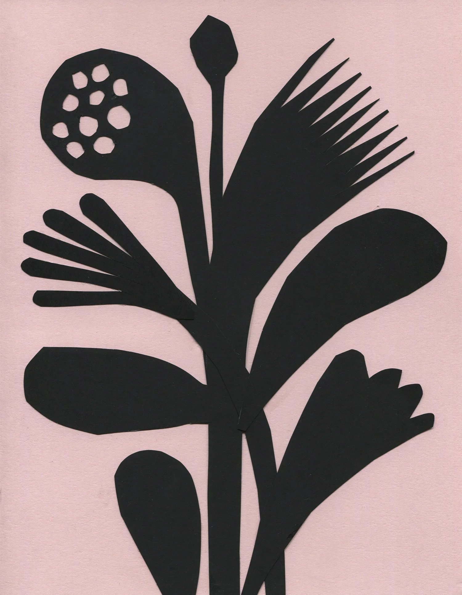 FLORA+1.webp