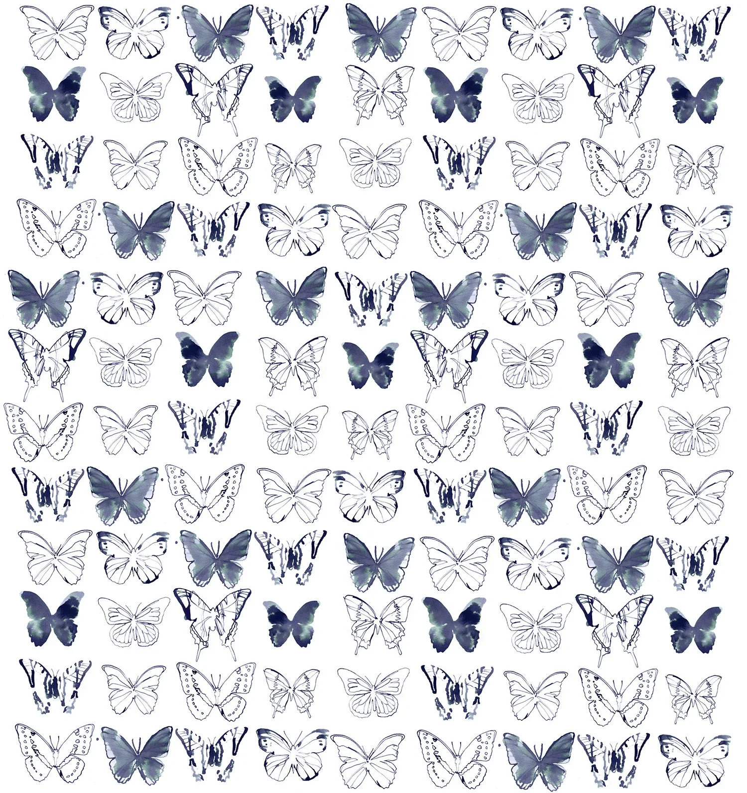 Butterflies+Sara+Singh+copy+2.webp