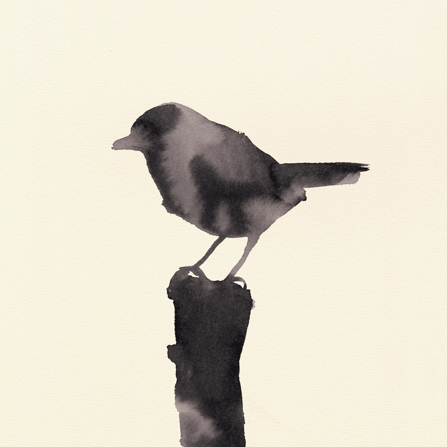 BIRDY+BANNER-copy-1.gif