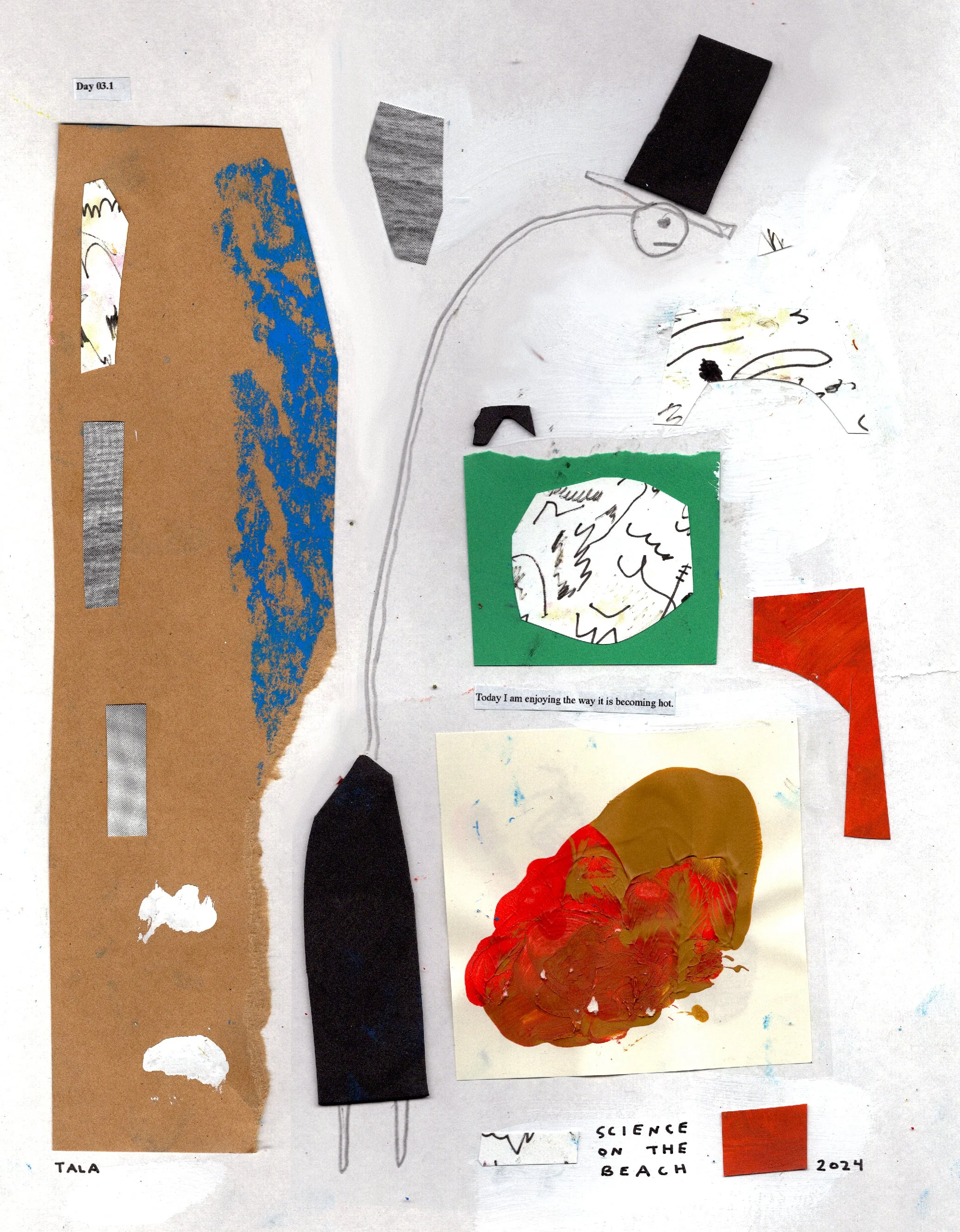 science at the beach.jpg