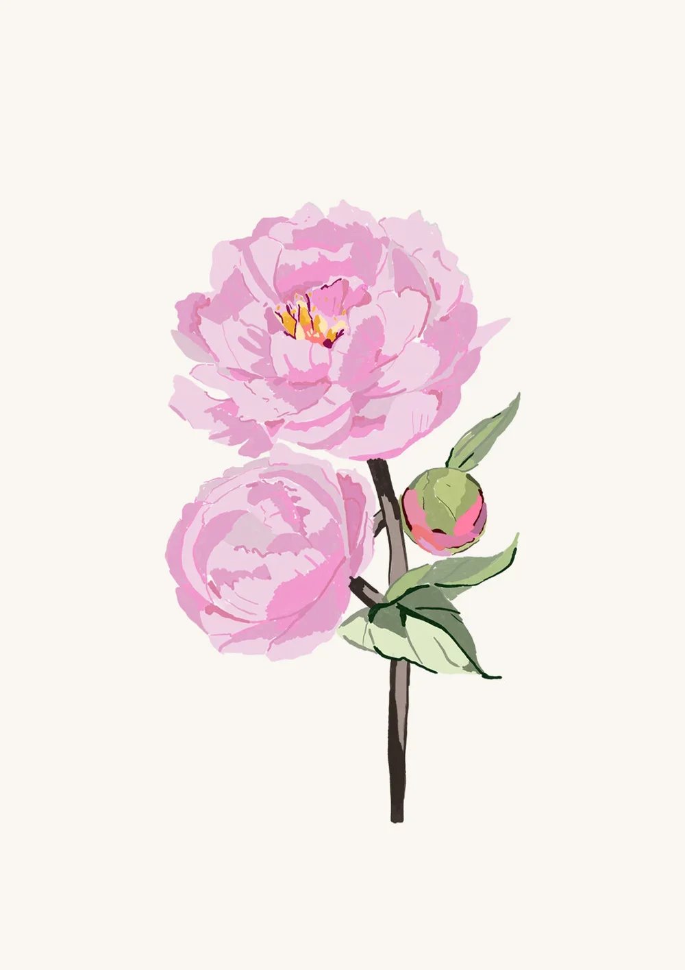 peony.webp