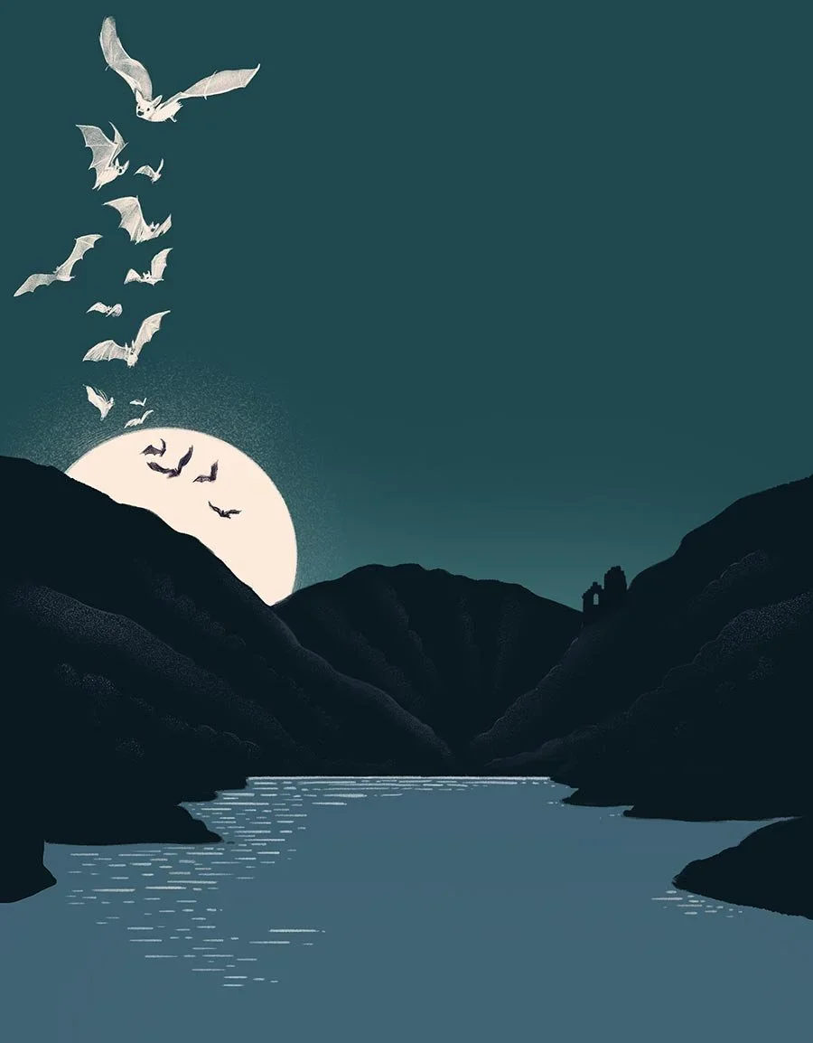 silja-goetz_illustration_Anaya_Murcielagos_blancos_2+copia.webp
