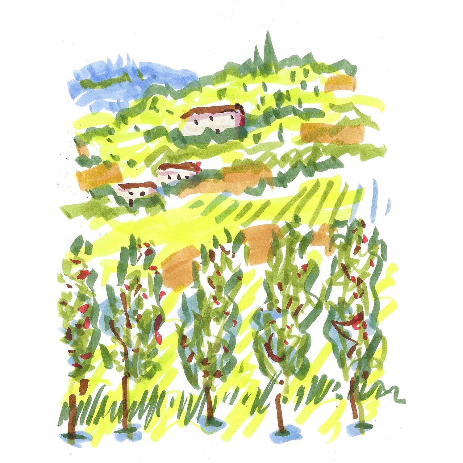 Italian Countryside 3.jpg