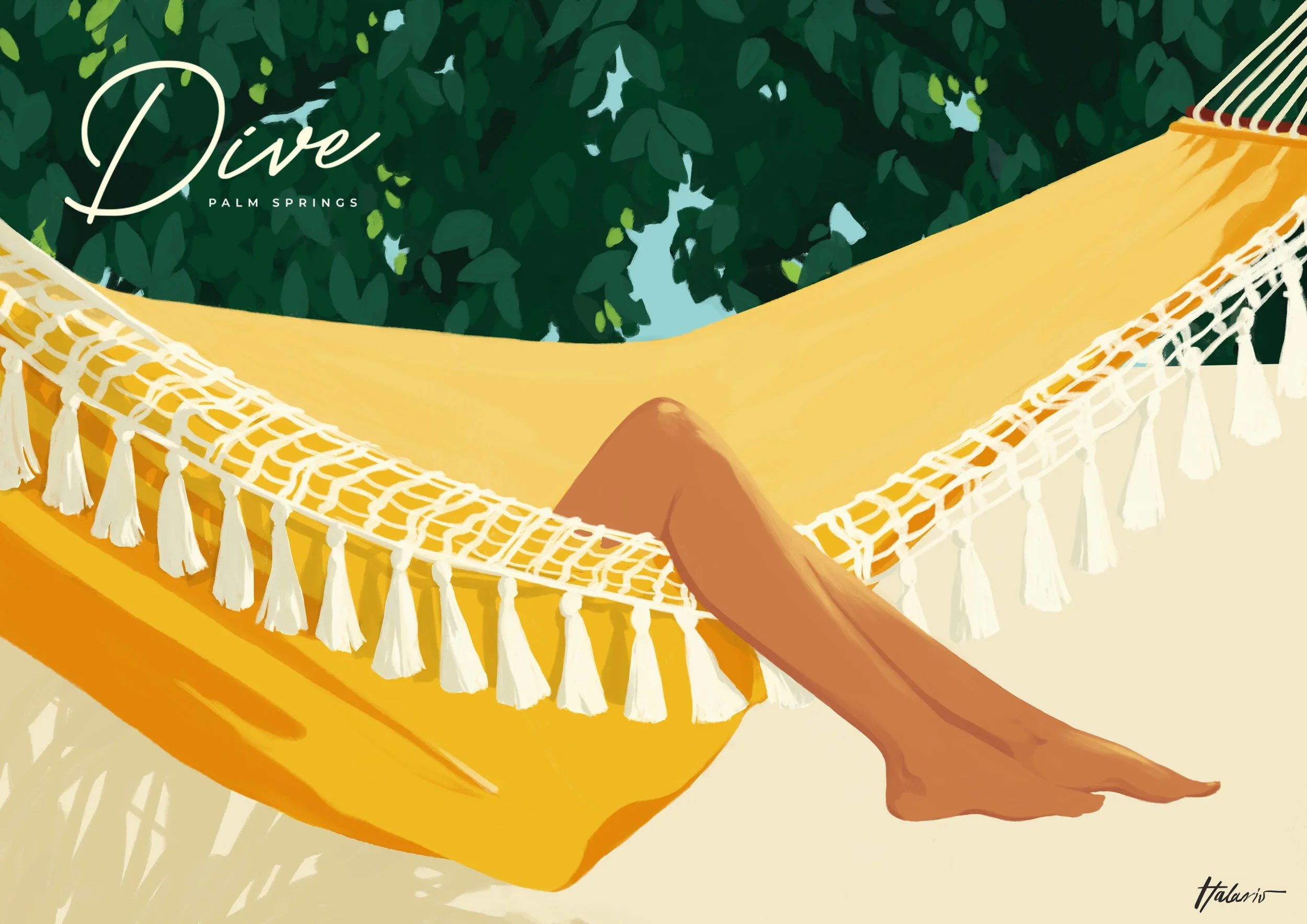 DIVE_PALM_SPRINGS_SPIROSHALARIS_ILLUSTRATION.webp