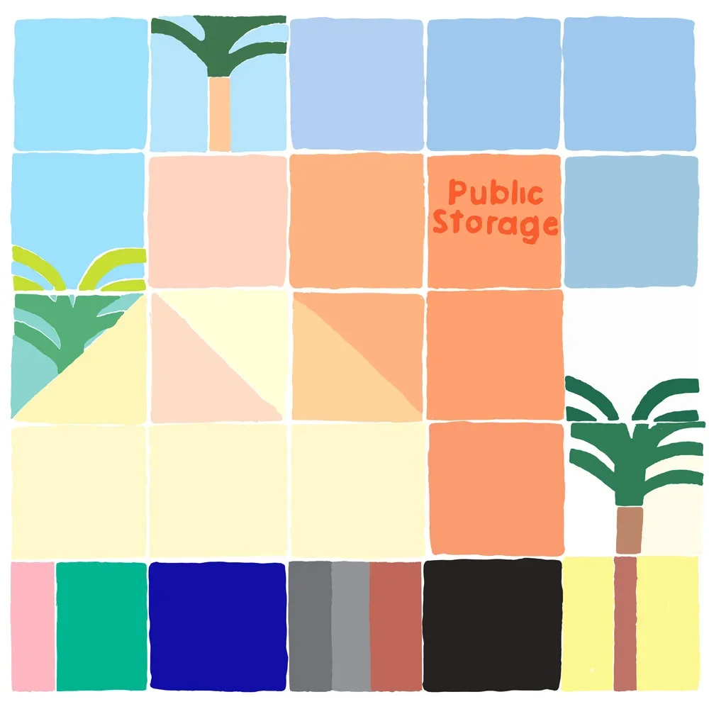 MMatson-Public-Storage.webp