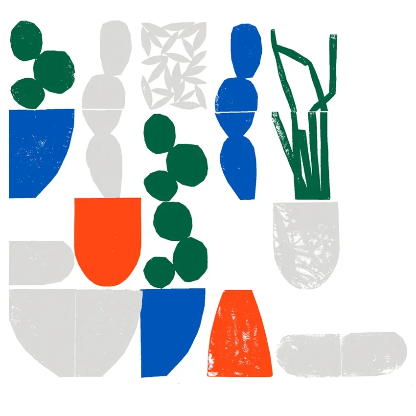 Illustration+Division_Mary+Matson_plants+2.webp